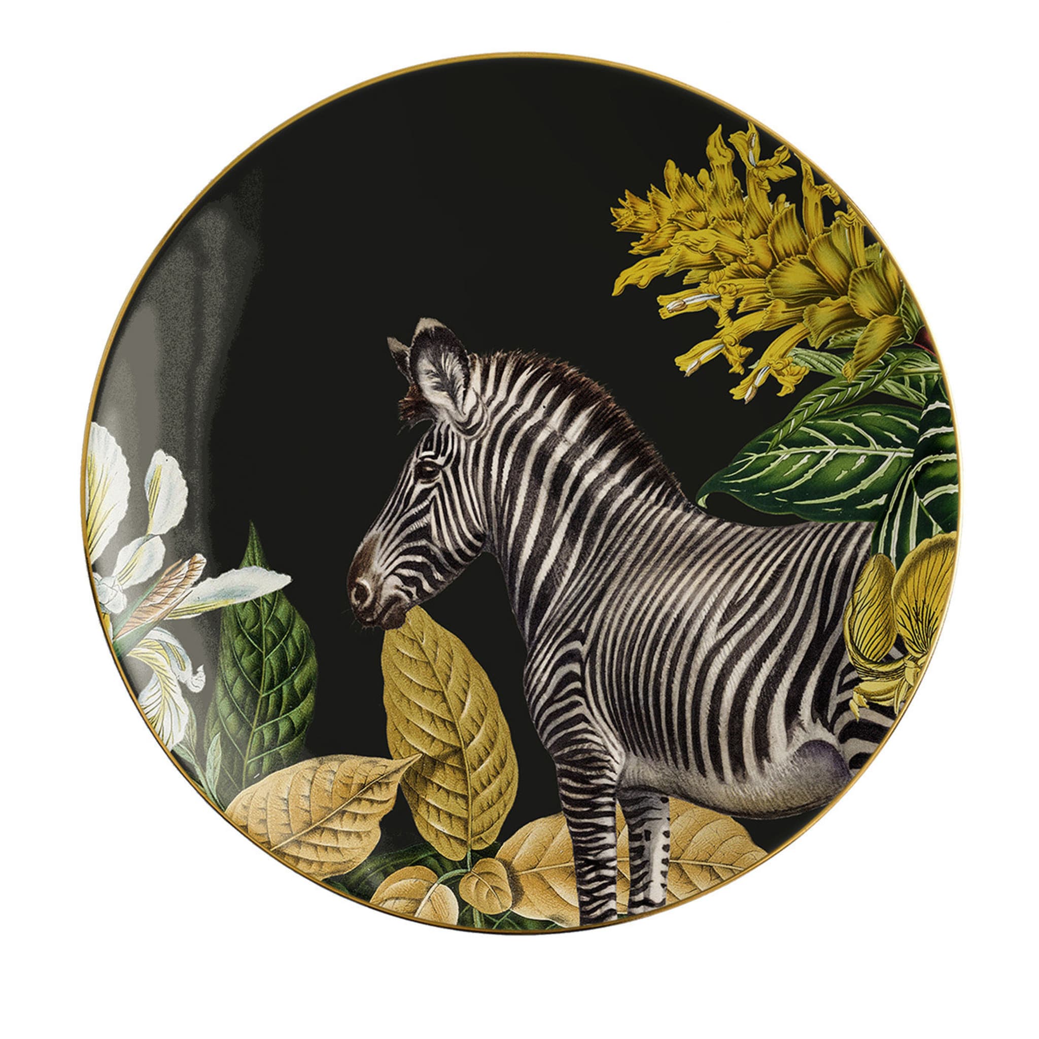 Animalia Set Of 2 Porcelain Bread Plates With Zebra - Main view