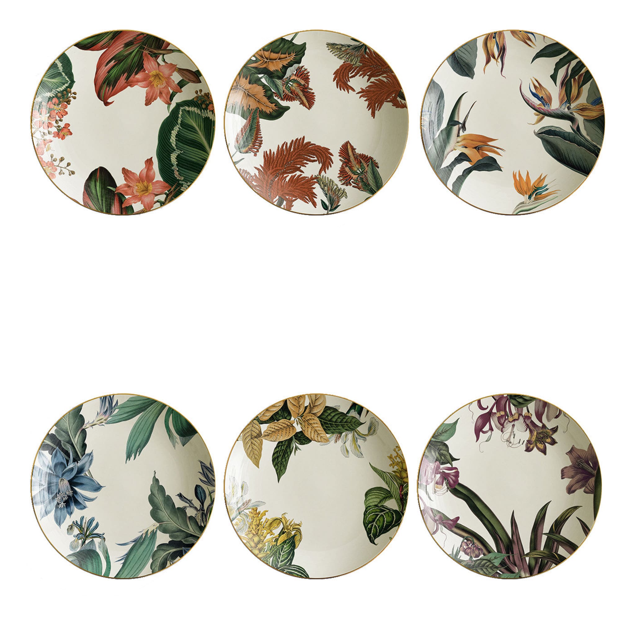 Animalia Set Of 6 Porcelain Soup Plates With Exotic Animals - Main view
