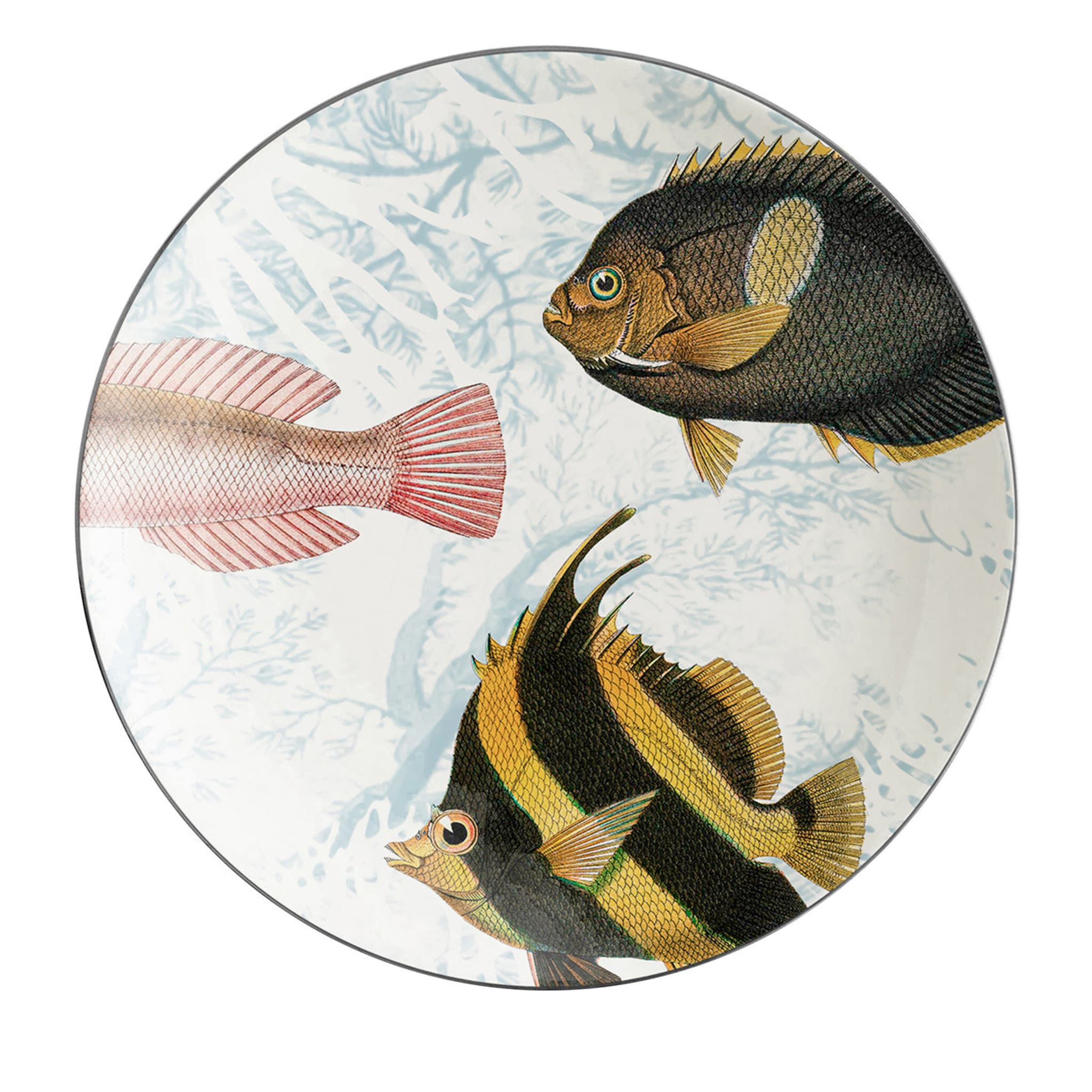 Amami Set Of 2 Porcelain Bread Plates With Tropical Fish #4 - Main view