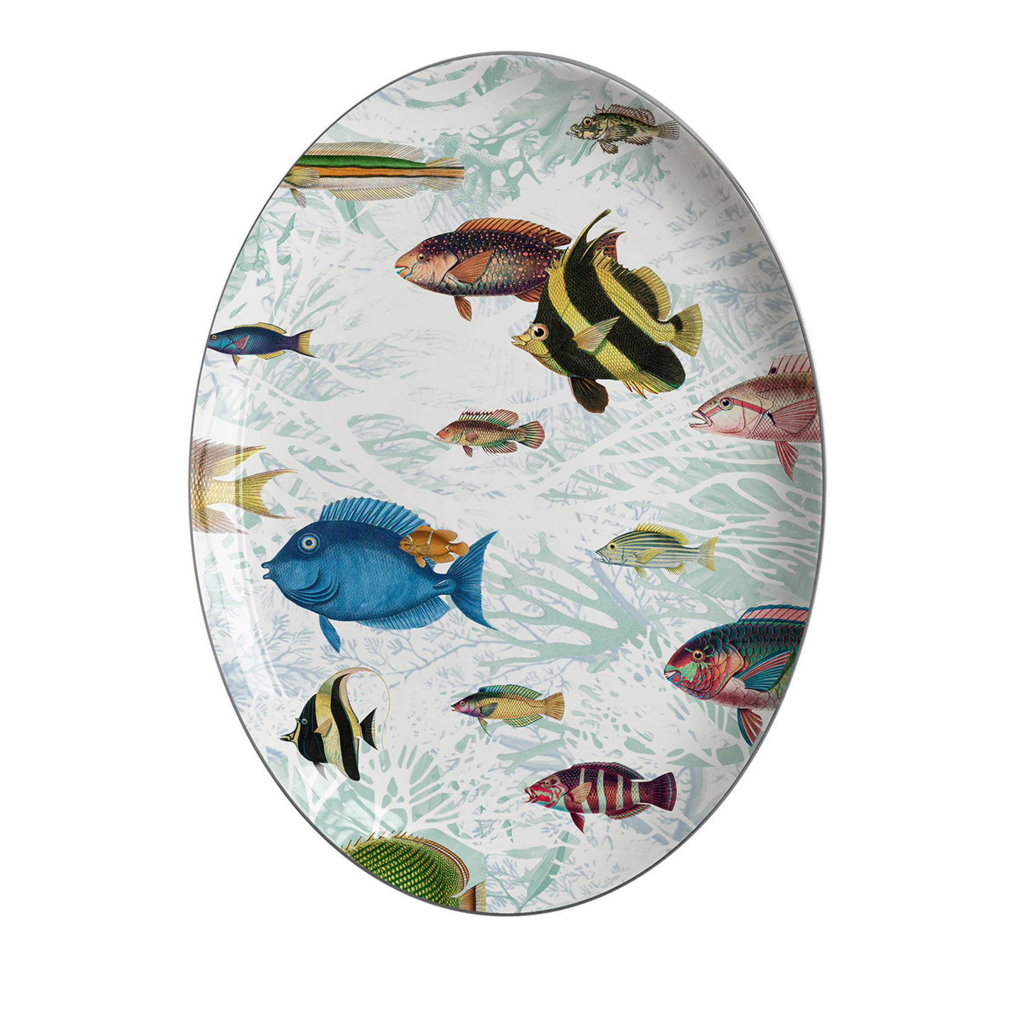 Amami Oval Porcelain Platter With Tropical Fish - Main view
