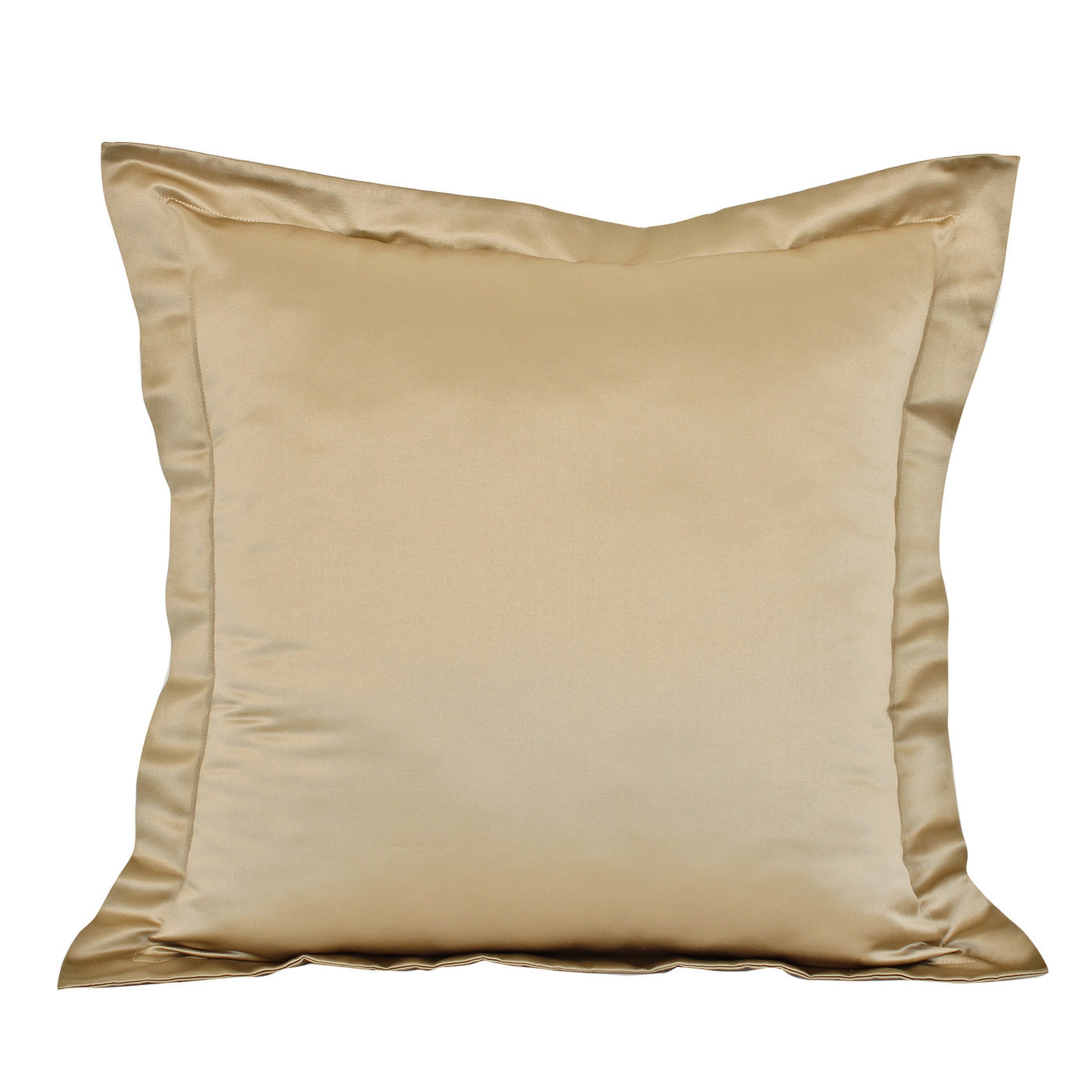 Set of 2 Large Beige Cushions - Main view