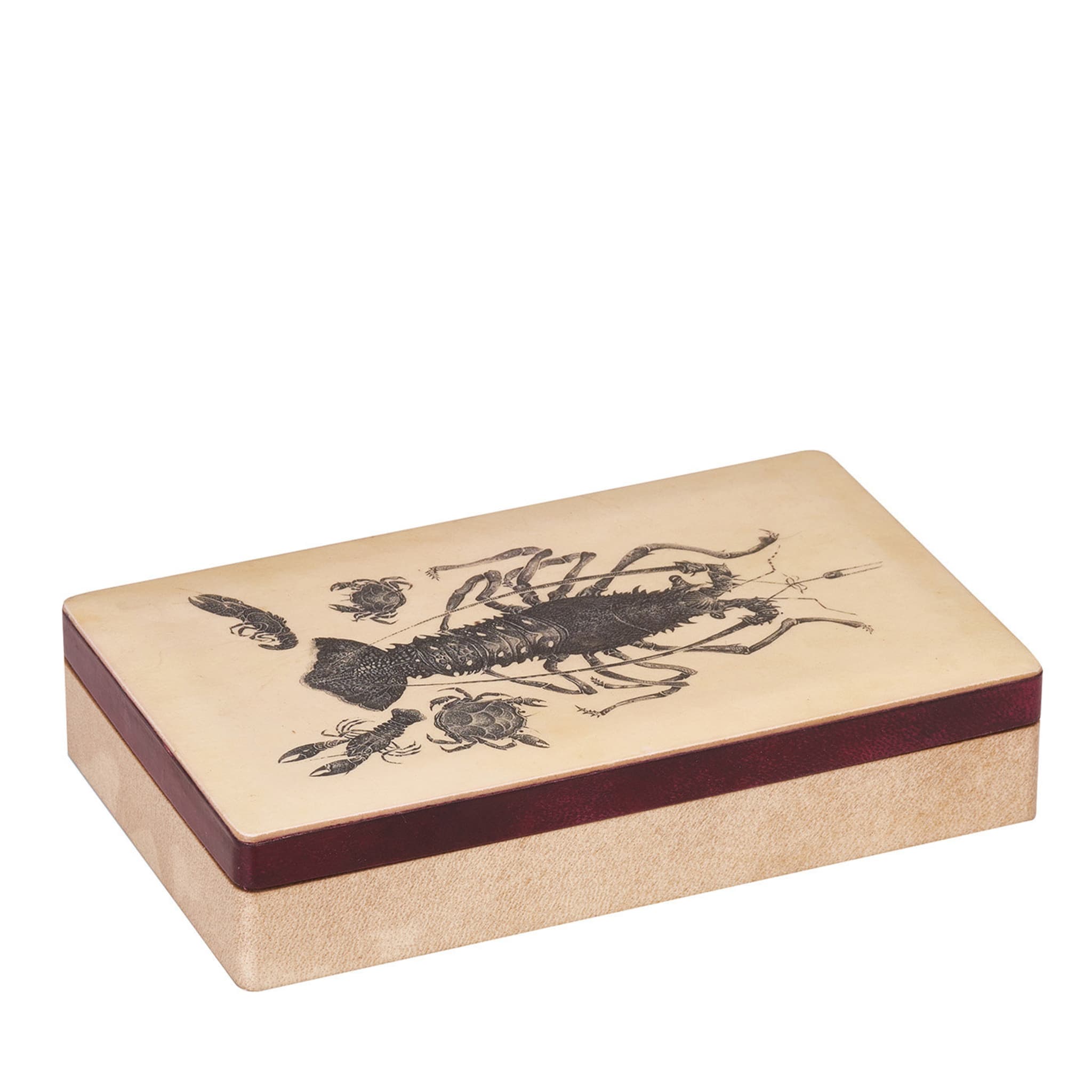 Caja rectangular de langosta - Vista principal