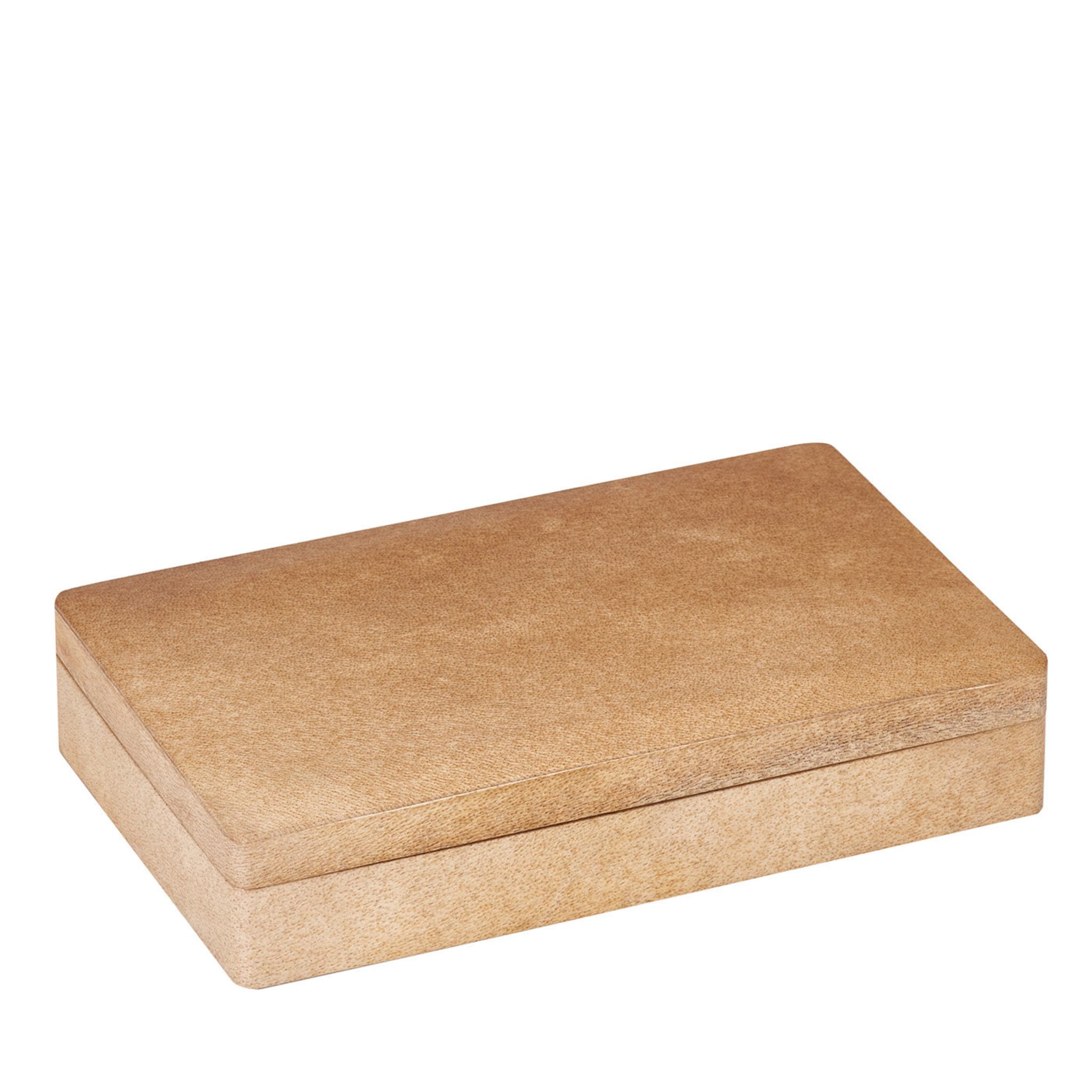 Caja rectangular antigua de pergamino - Vista principal
