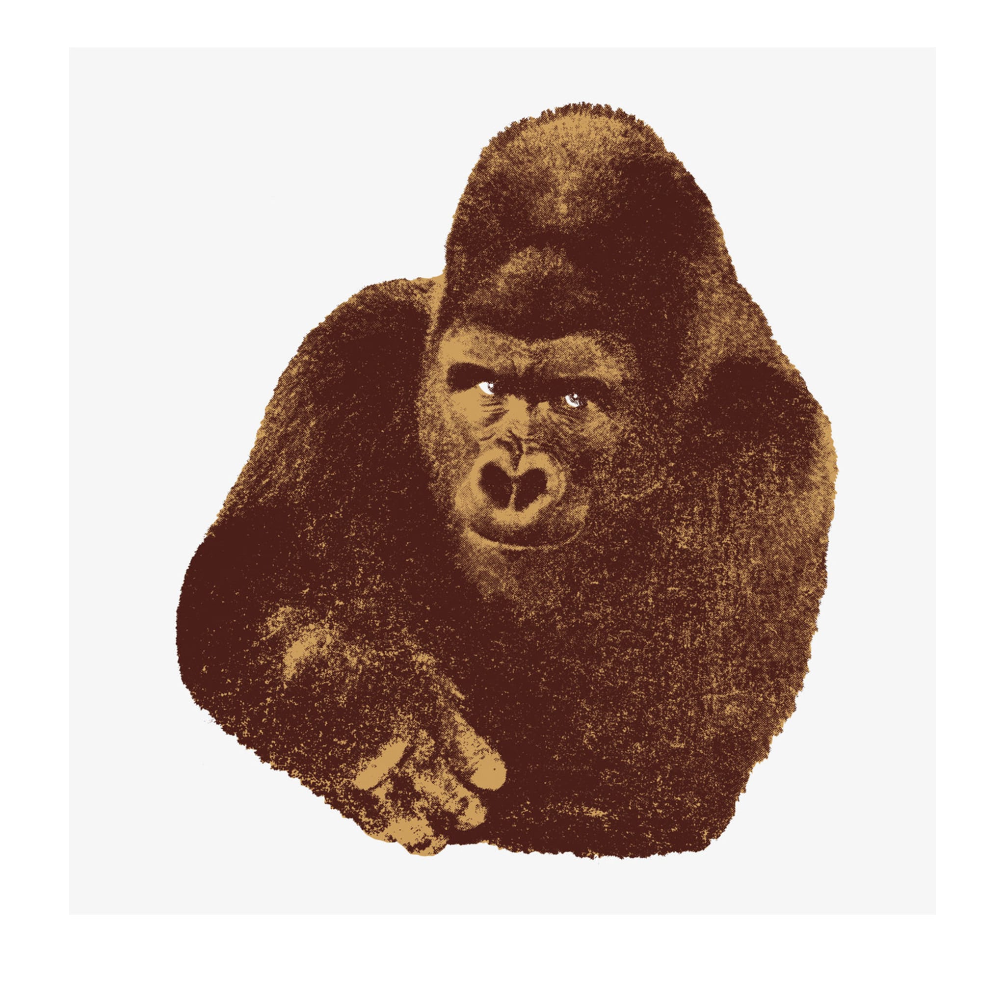 Quindici, il Gorilla Serigrafía de Enzo Mari - Vista principal