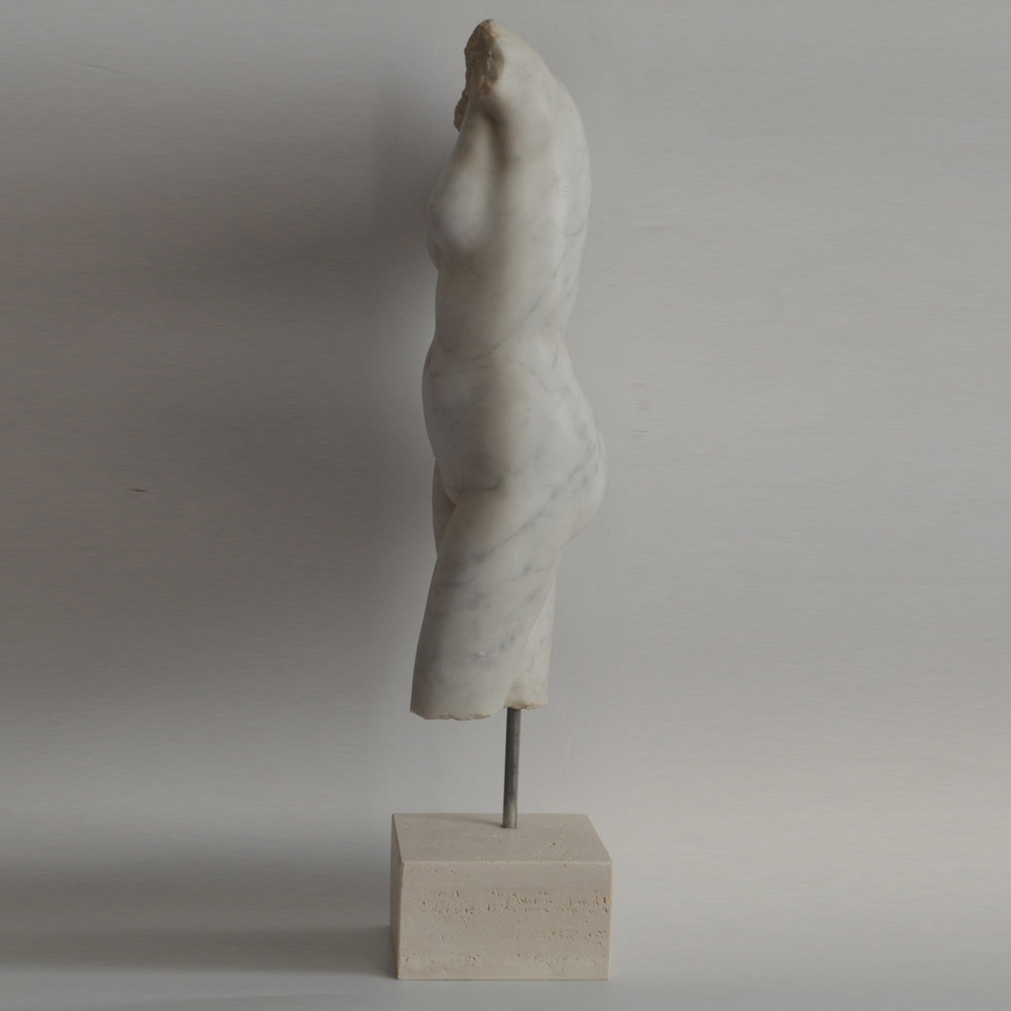 Female Torso Sculpture - Alternative view 4