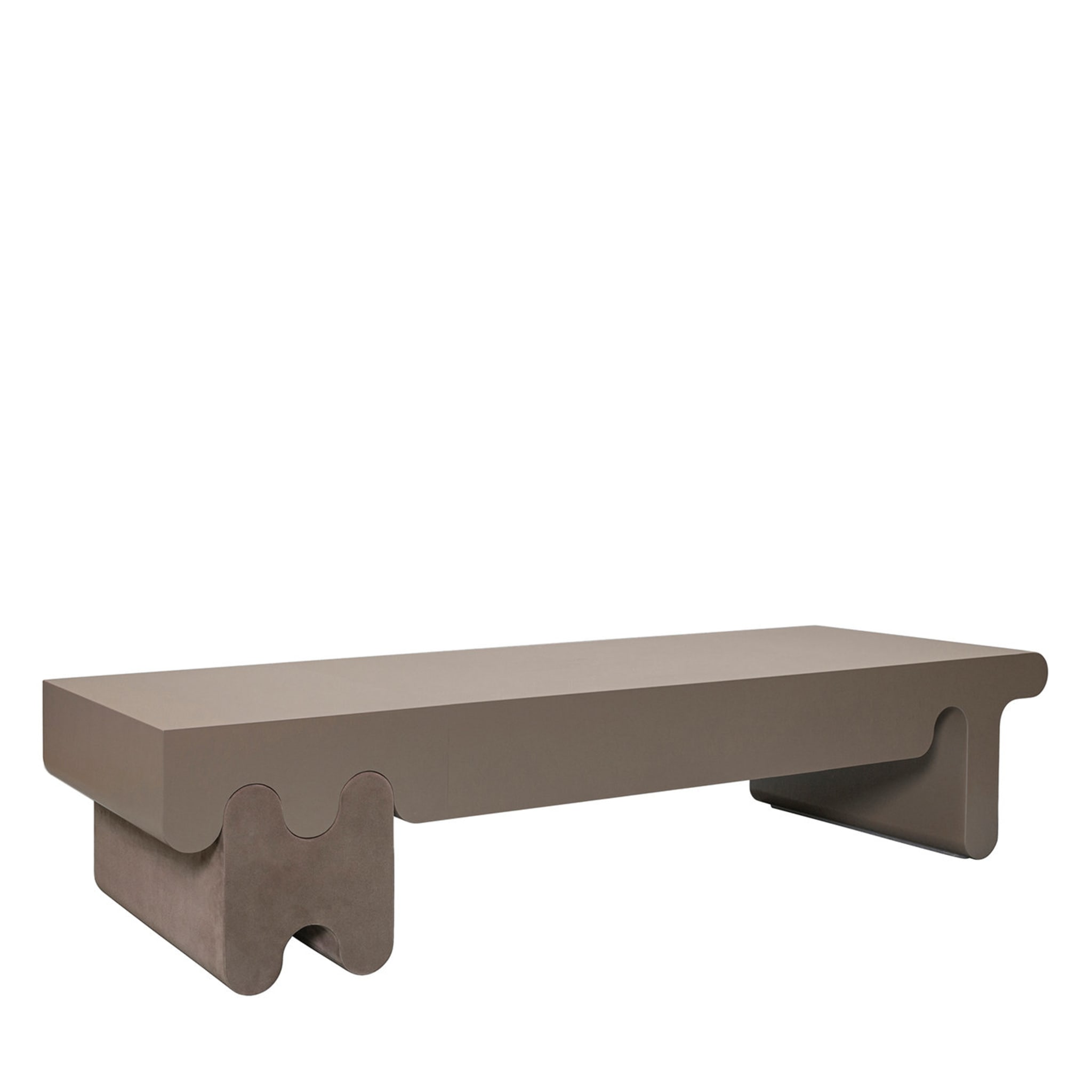 Ossicle Leather Coffee Table - Main view