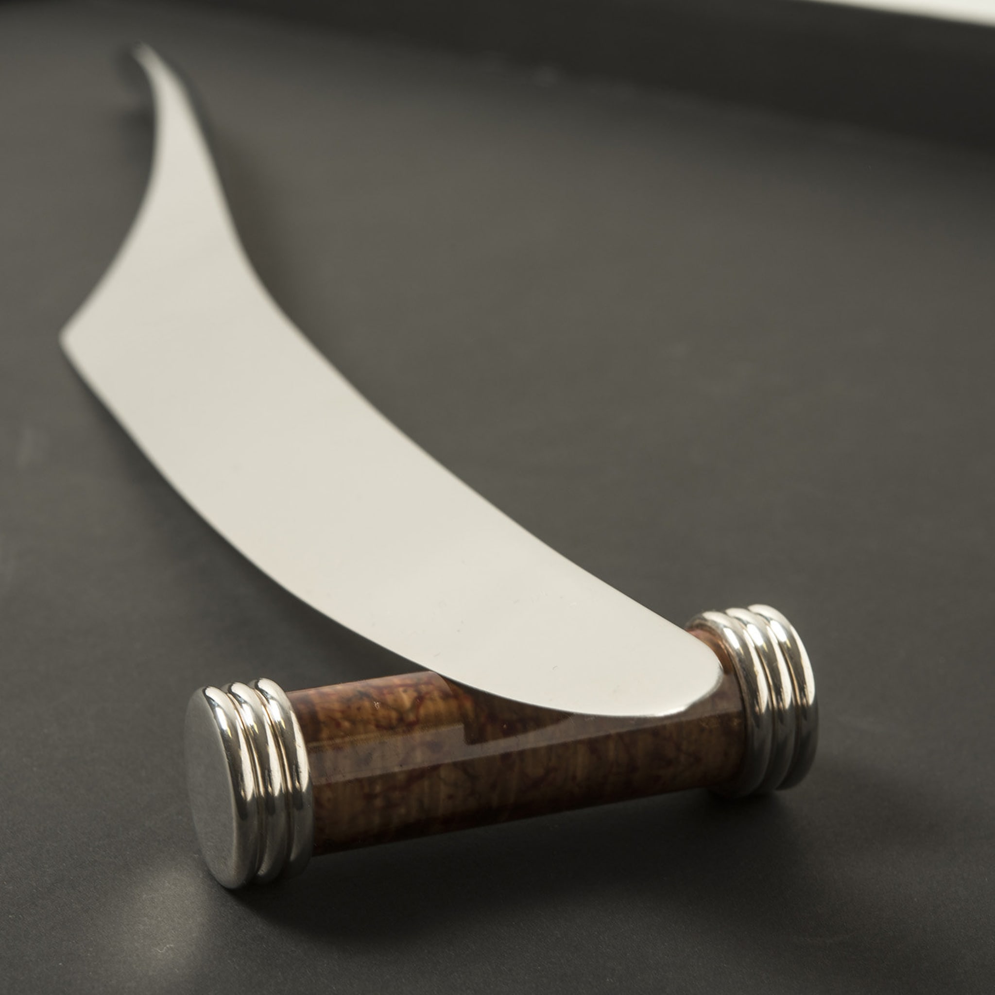 Decor Tavola Kosmo Roast Carving Knife with Rest by Nino Basso - Alternative view 1