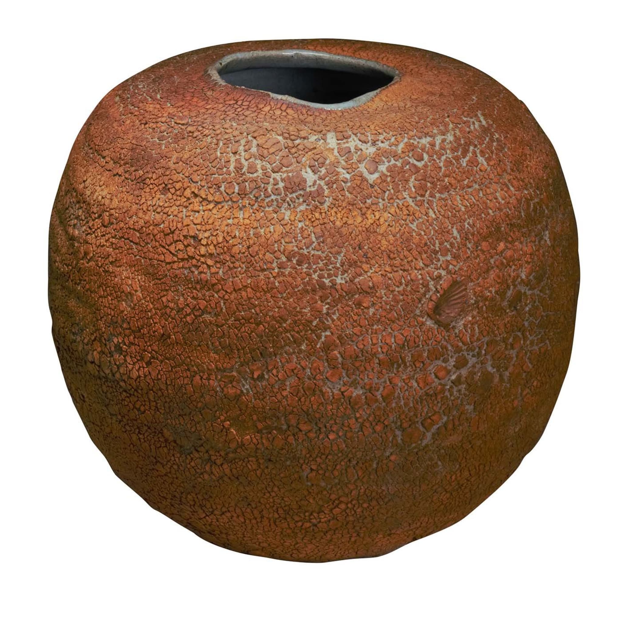 Toscana Earth Table Vase with Shell Imprint - Main view