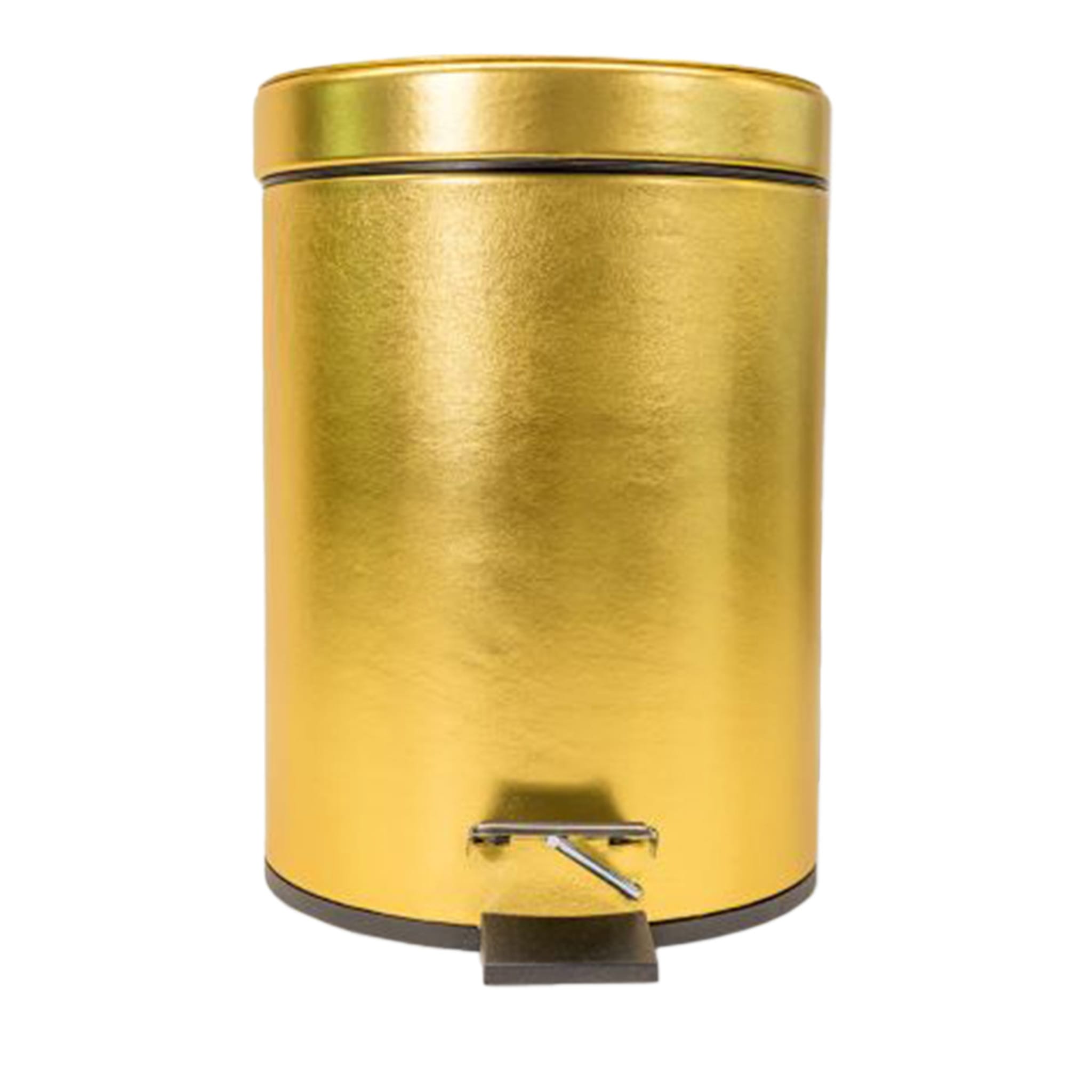 Gold Leather Pedal Bin - Main view