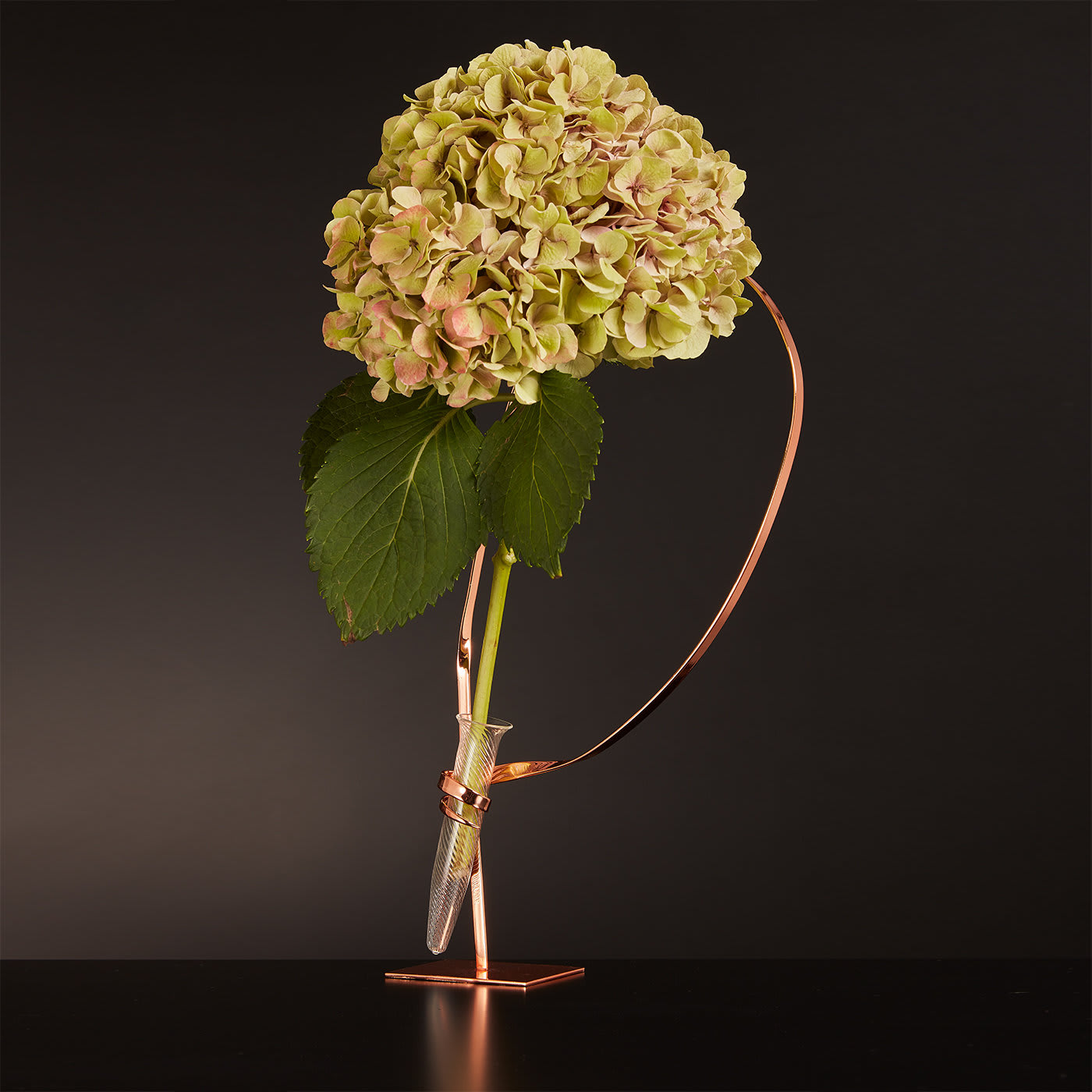 Standing Swirl Rose Gold Flower Holder - Art Flower Maker