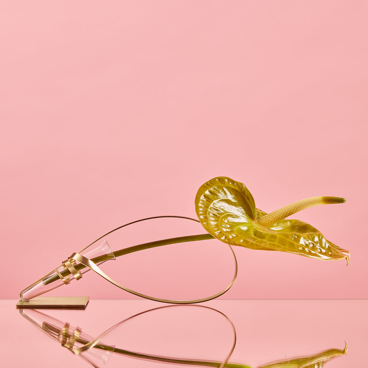 Lounging Swirl Gold Flower Holder - Art Flower Maker