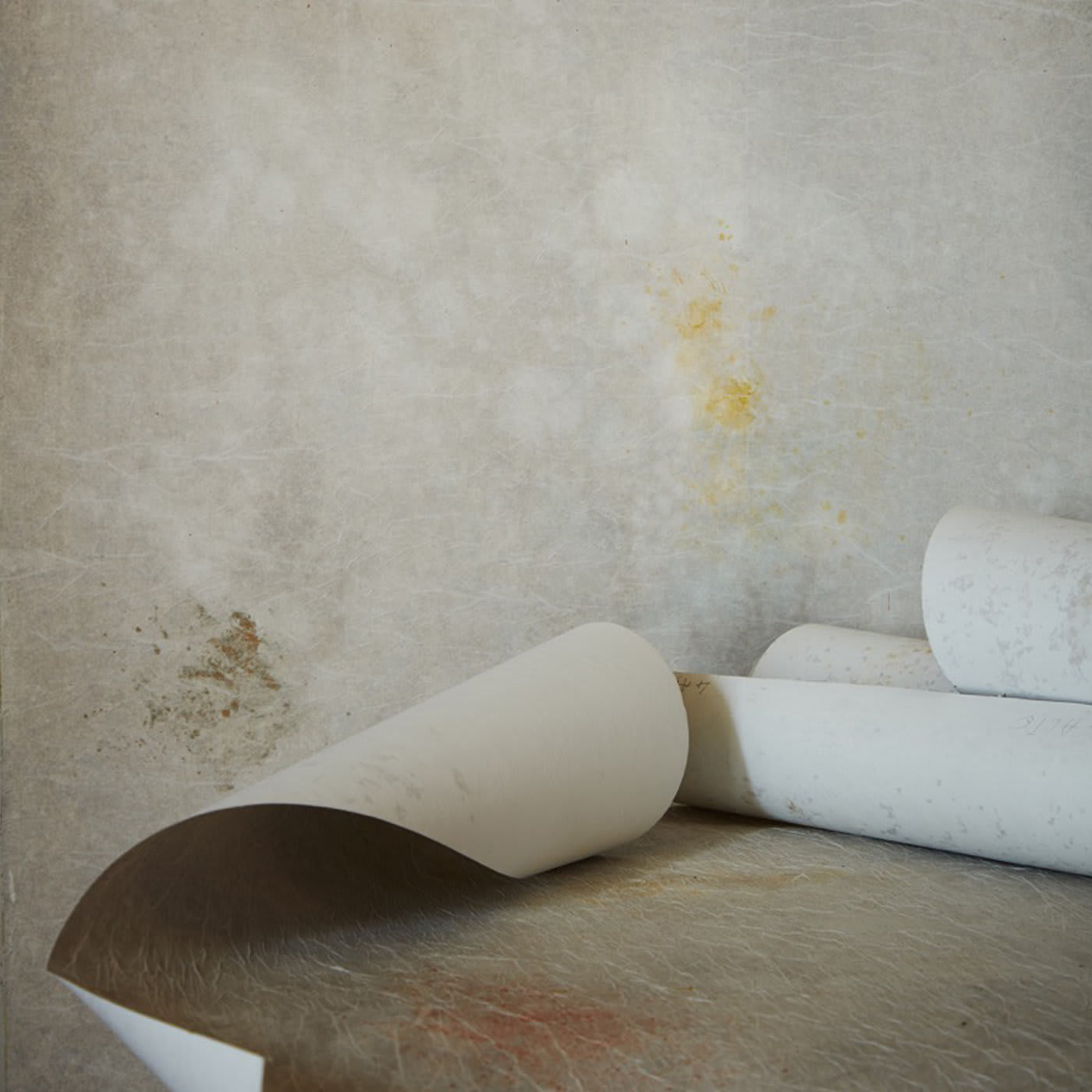 Rose Scented Mirage Wallpaper - Fabscarte