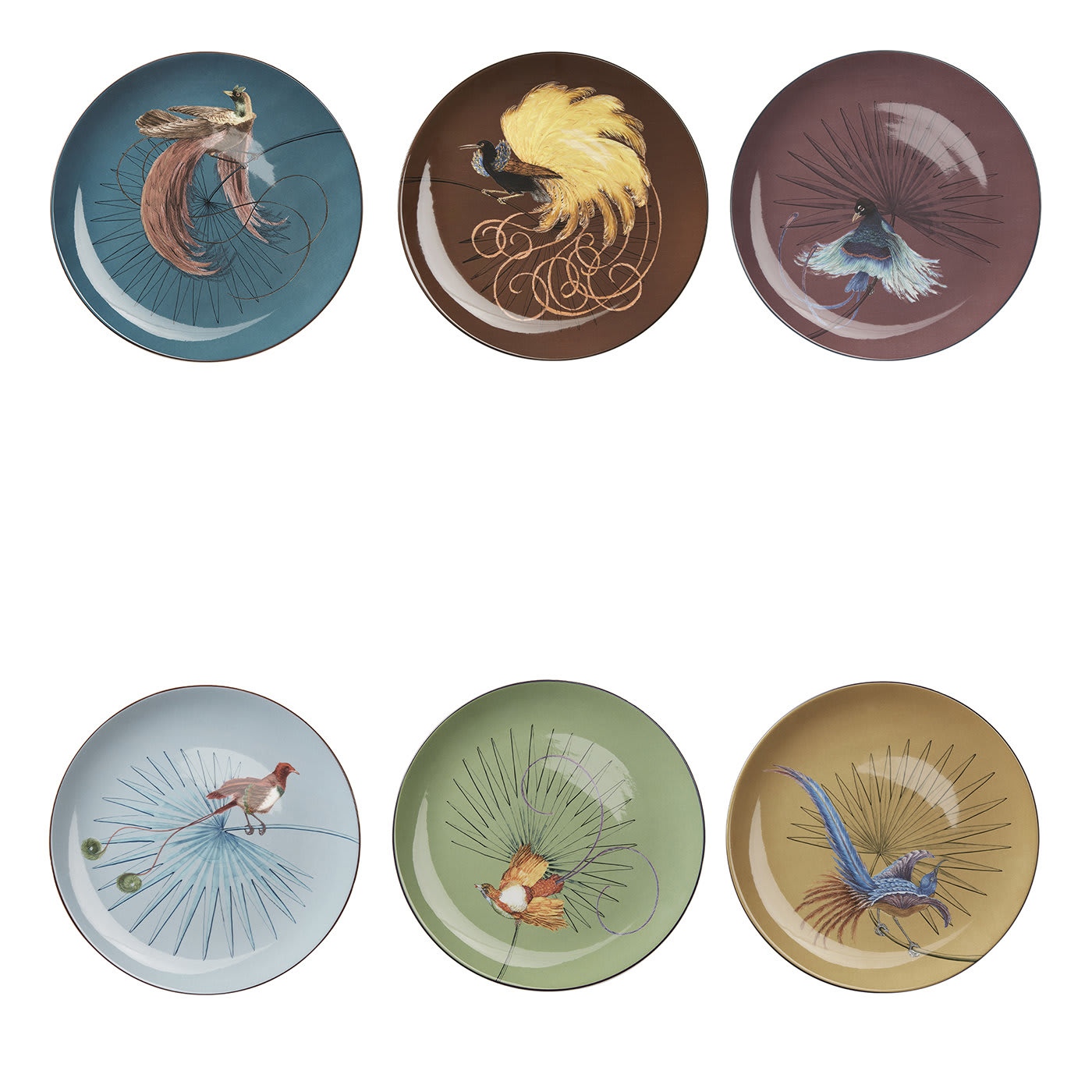 Birds of Paradise Dinner Plates Set of 6 - Laboratorio Paravicini