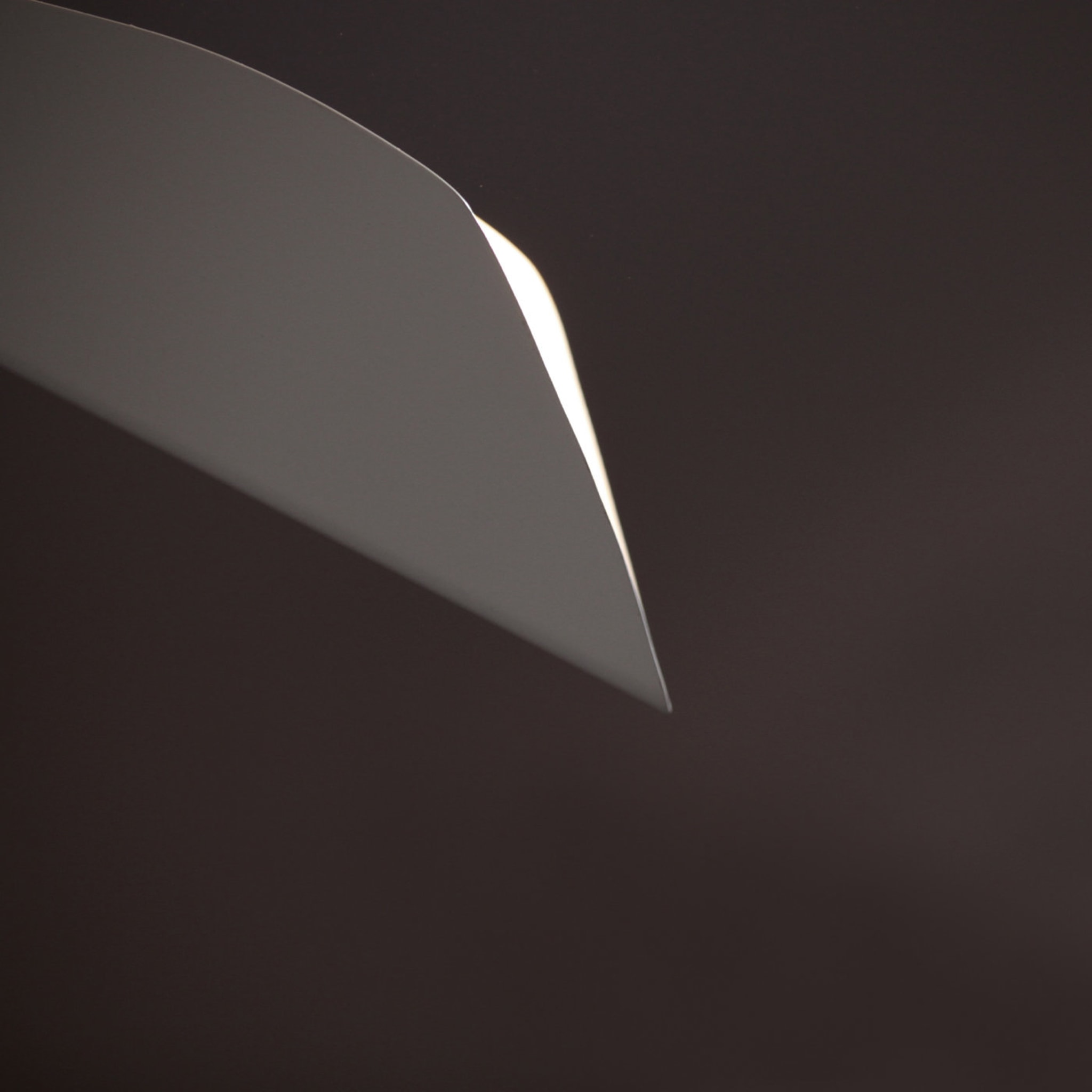 Calla 2-Light Ceiling Lamp - Alternative view 1