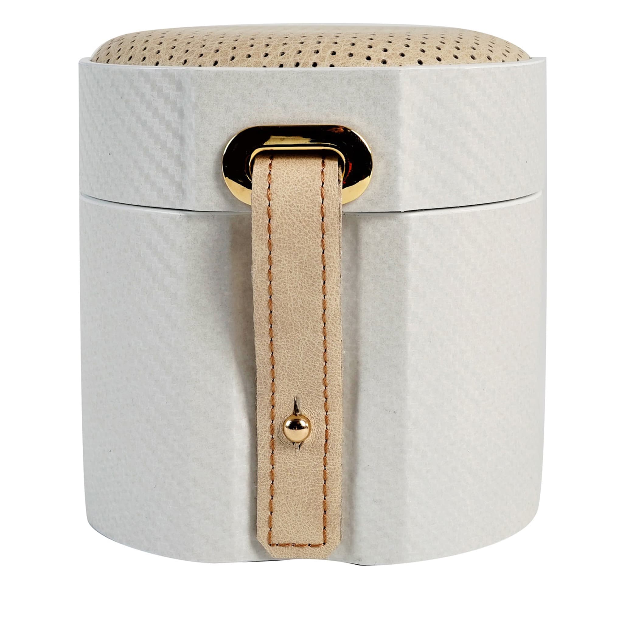 MT Travel White and Cream Watch Case - Main view