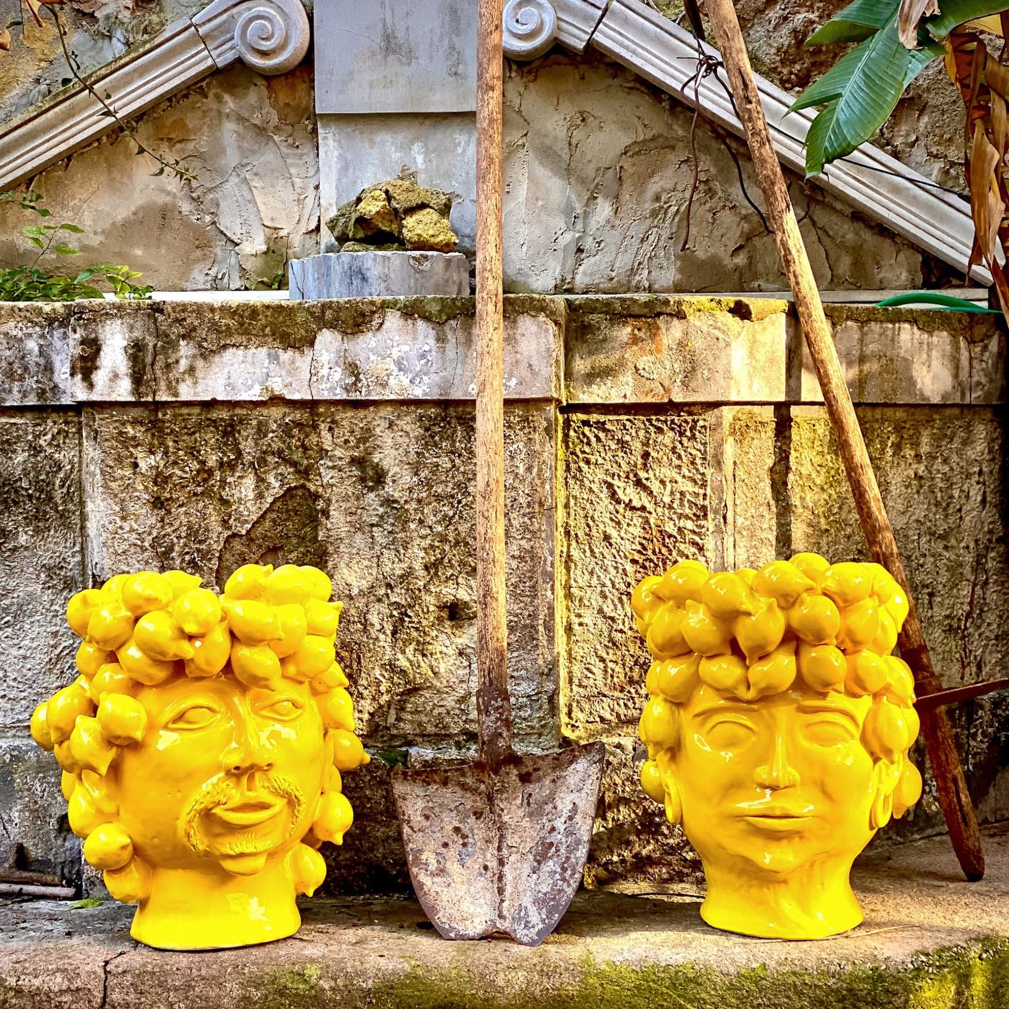 König von Land der Zitronen Gelber Kopf Vase - Alternative Ansicht 4