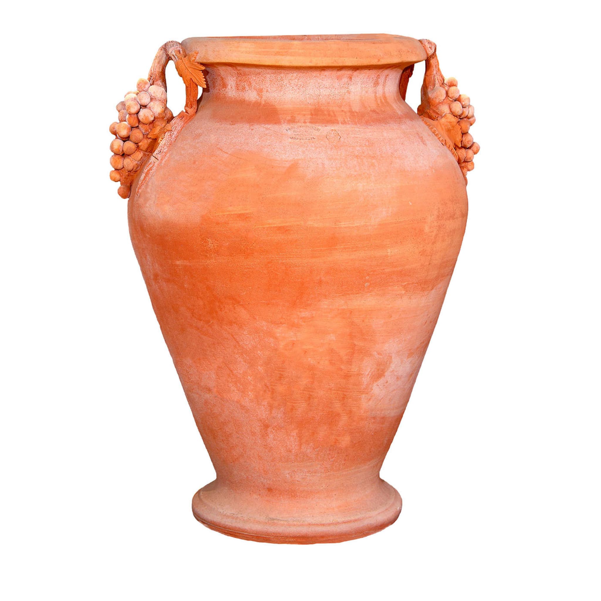 Amphora with Grape-Shaped Handles - Main view