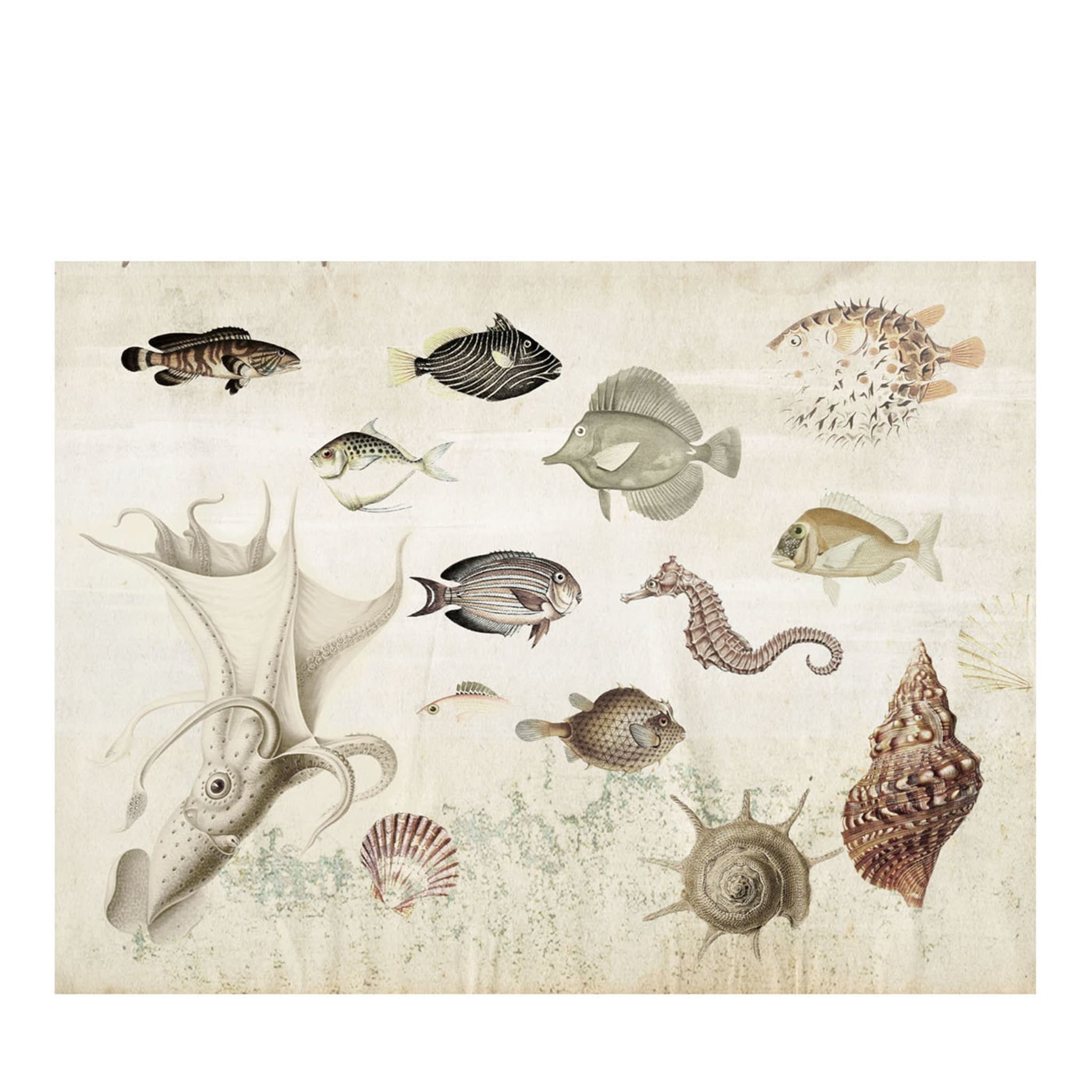 Nature Aquarium Beige Wallpaper - Main view