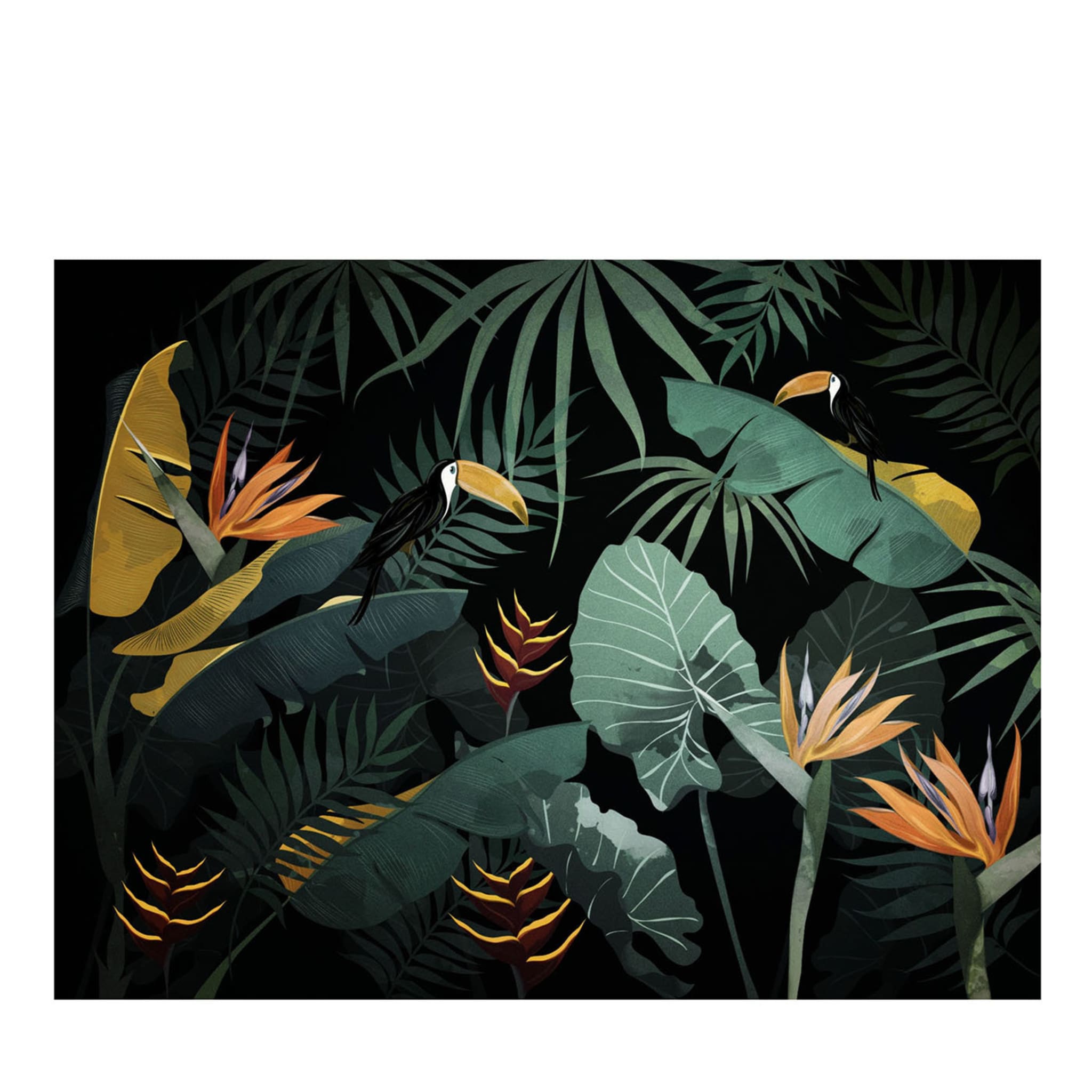 Nature Jungle Dream Wallpaper - Main view