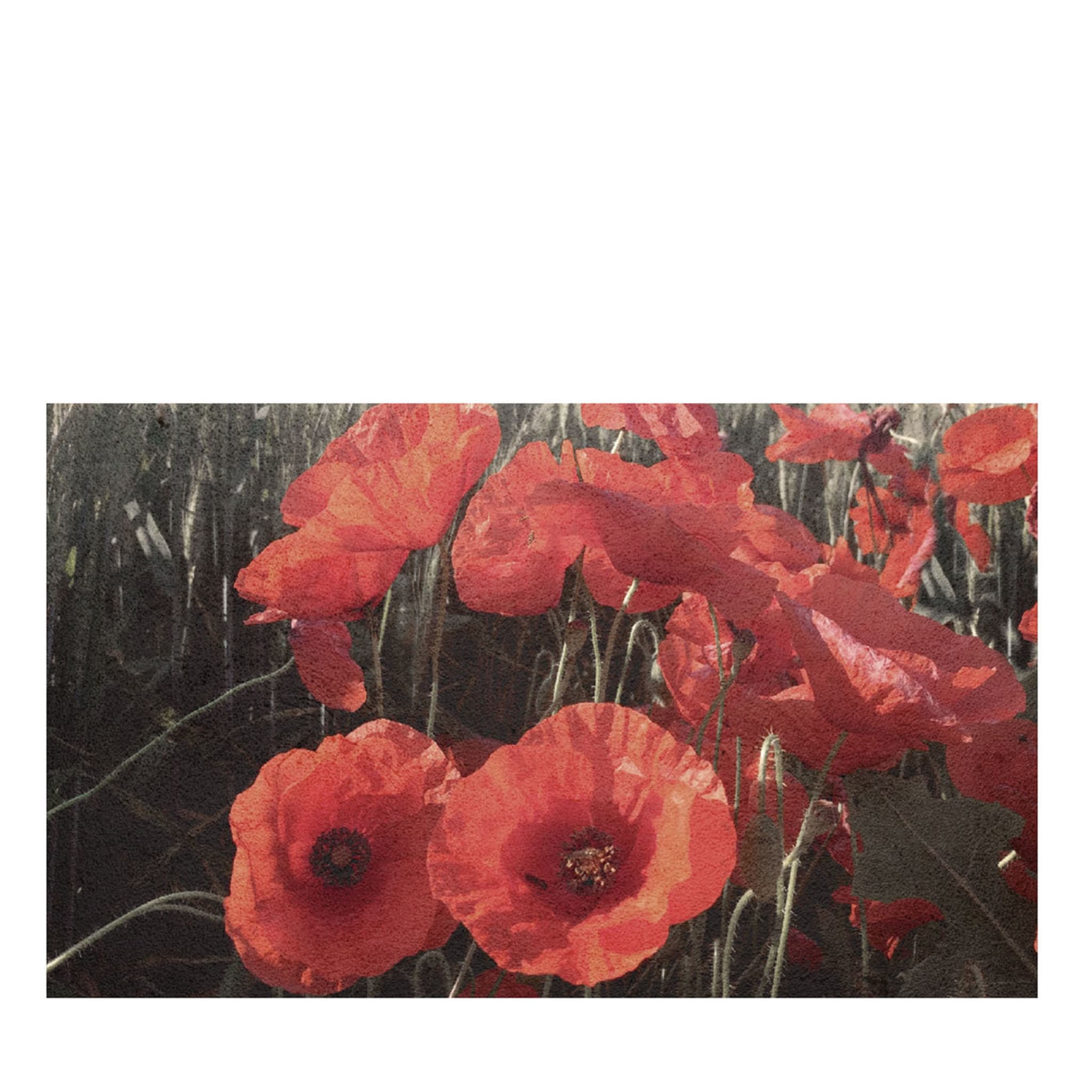 Nature Poppies Red Wallpaper - Main view