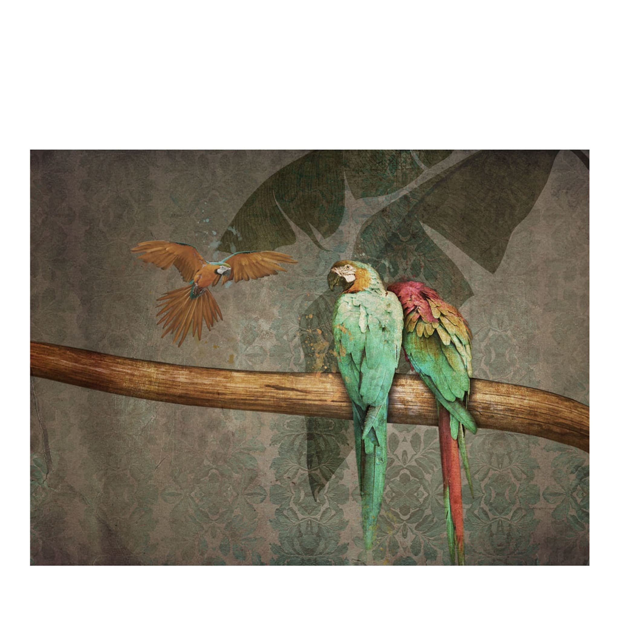 Natur Papageien Tapete - Hauptansicht