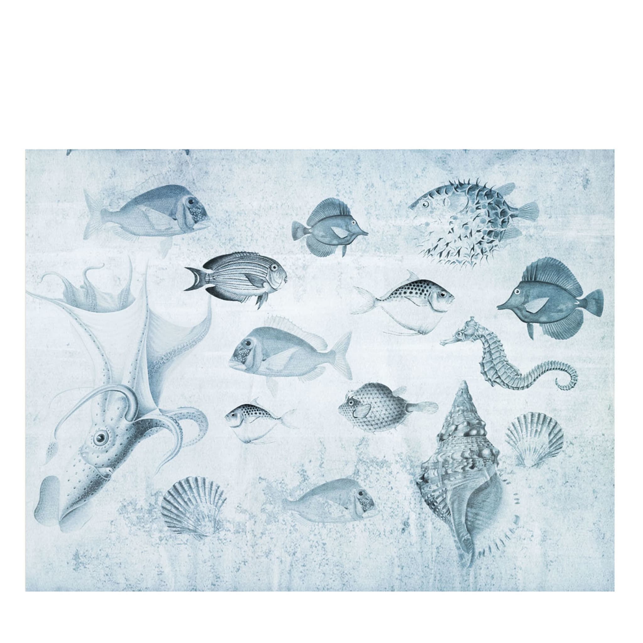 Nature Aquarium Light Blue Wallpaper - Main view