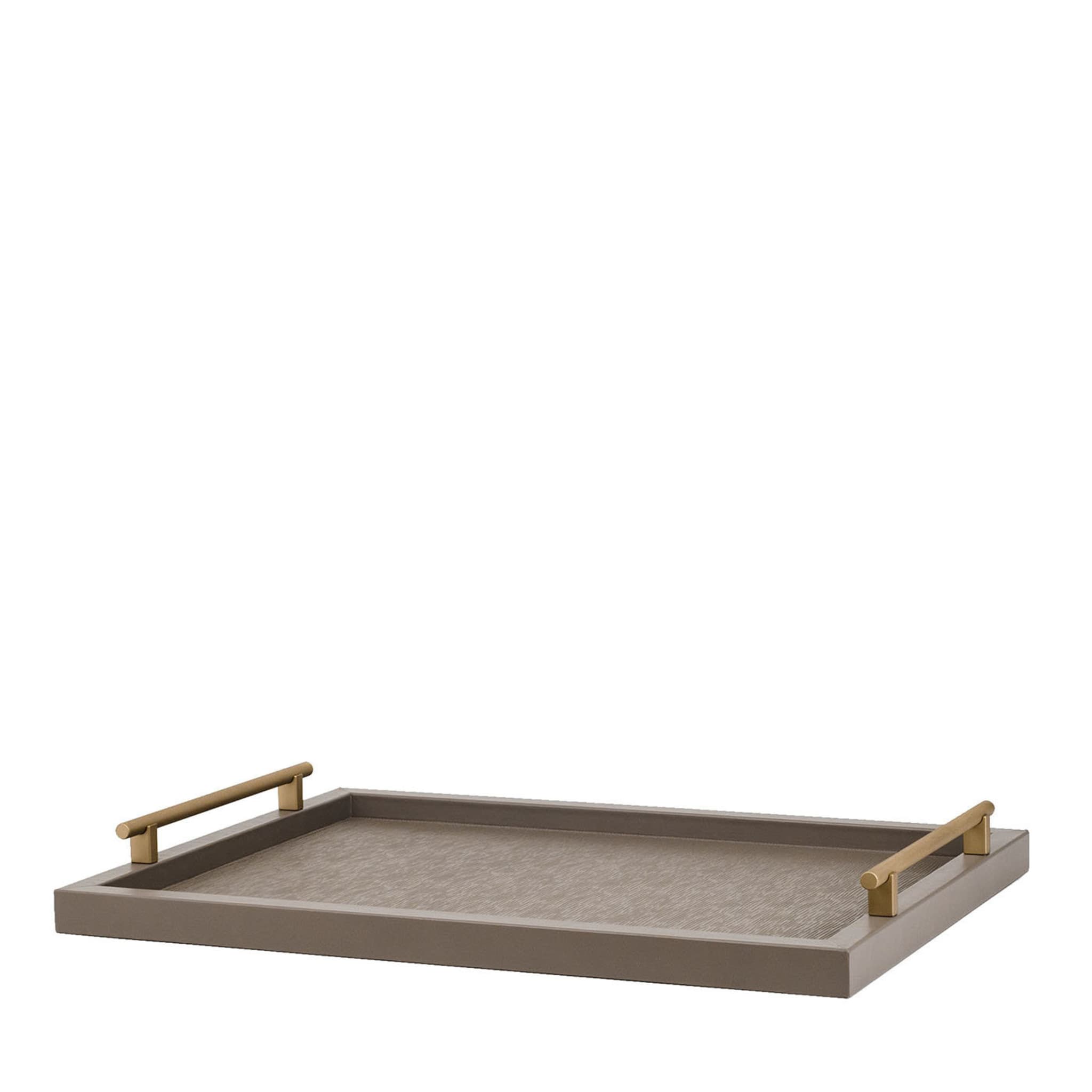 Dafne Large Square Taupe Tray - Main view