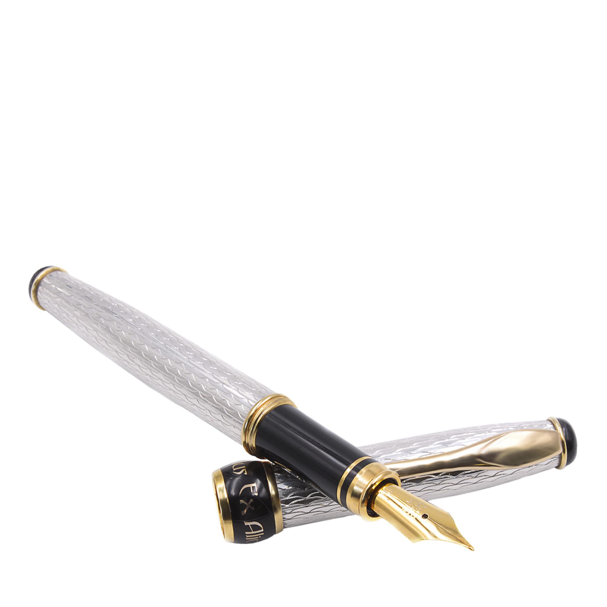 Silver Black and Gold Fountain Pen - Main view