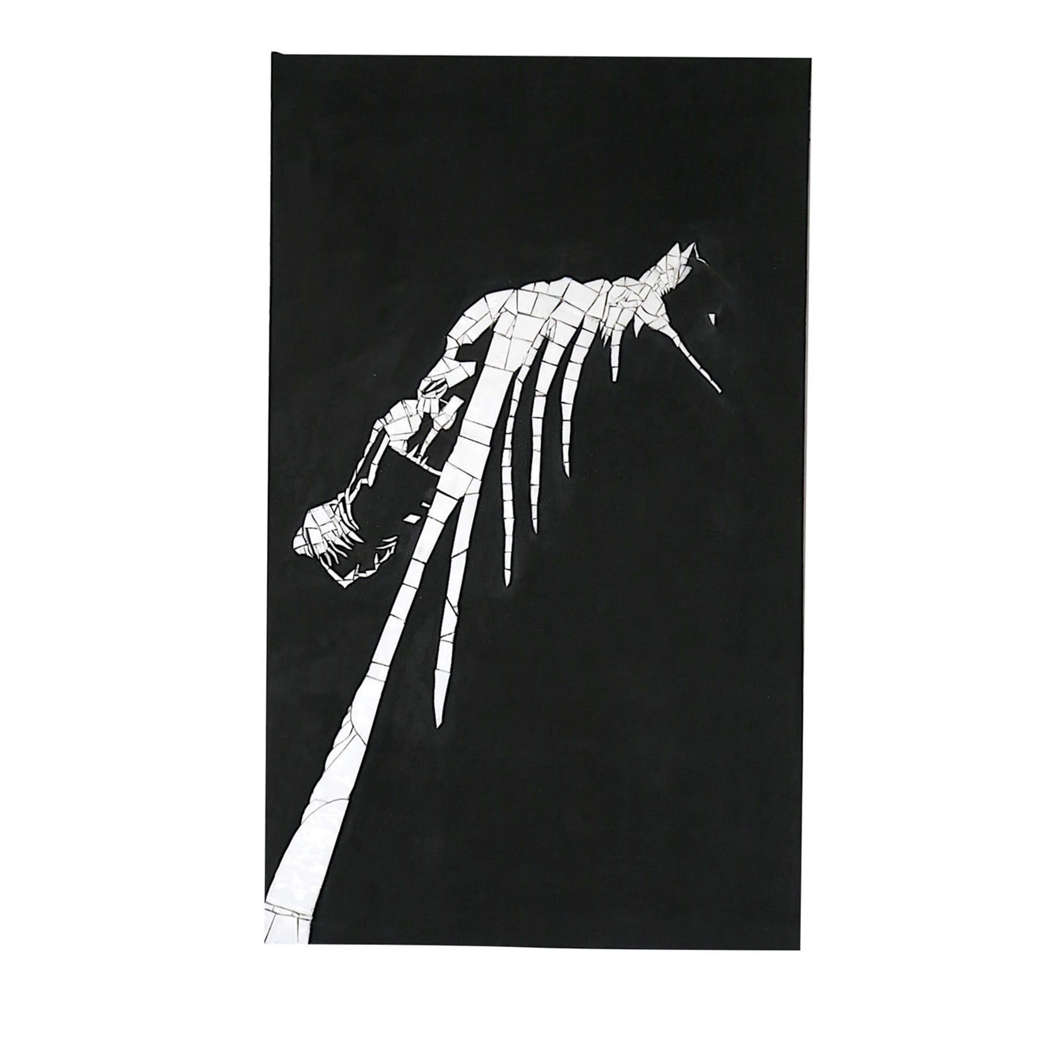 Il Cavaliere Oscuro Panel Decorativo Negro - Vista principal