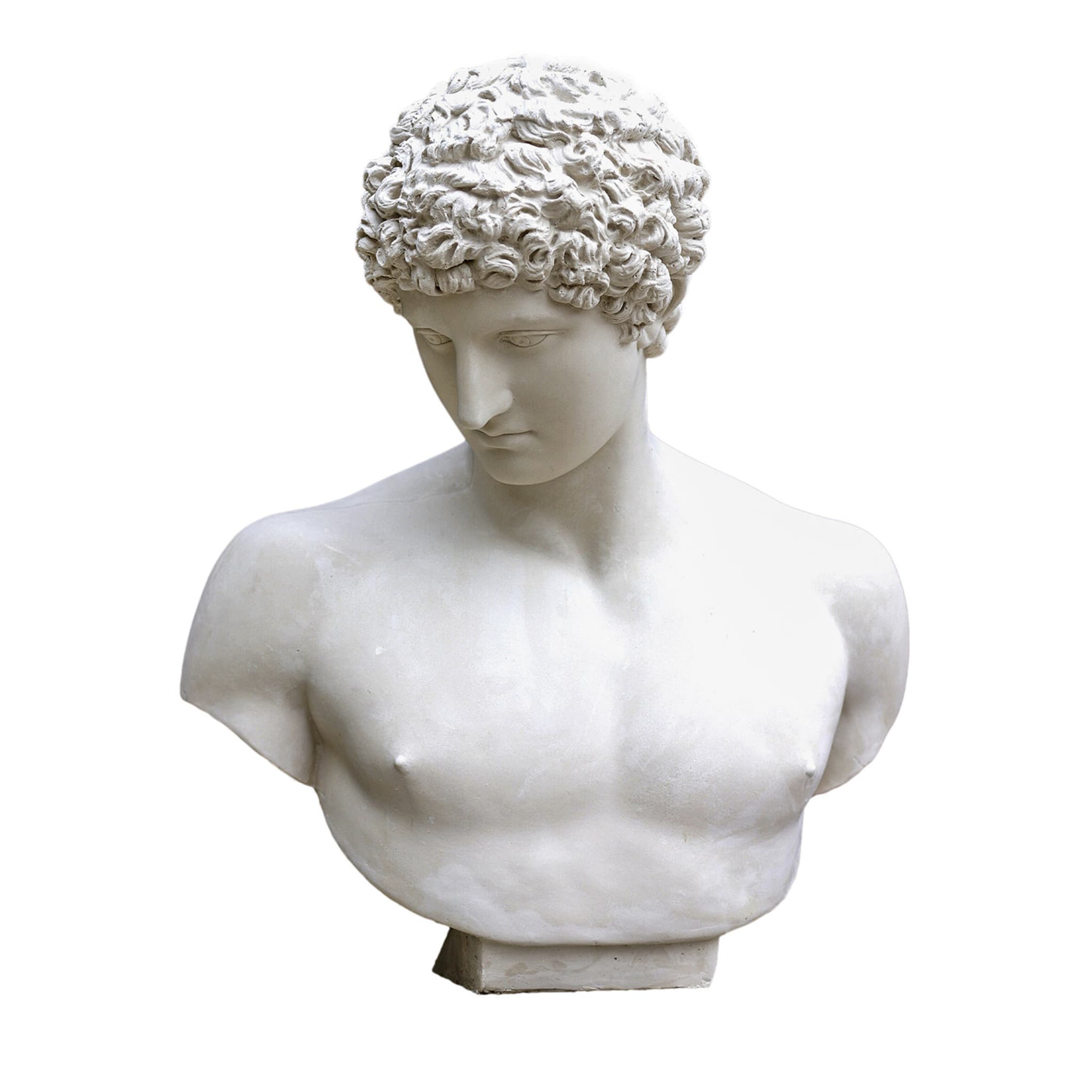 Antinous Plaster Bust - Main view