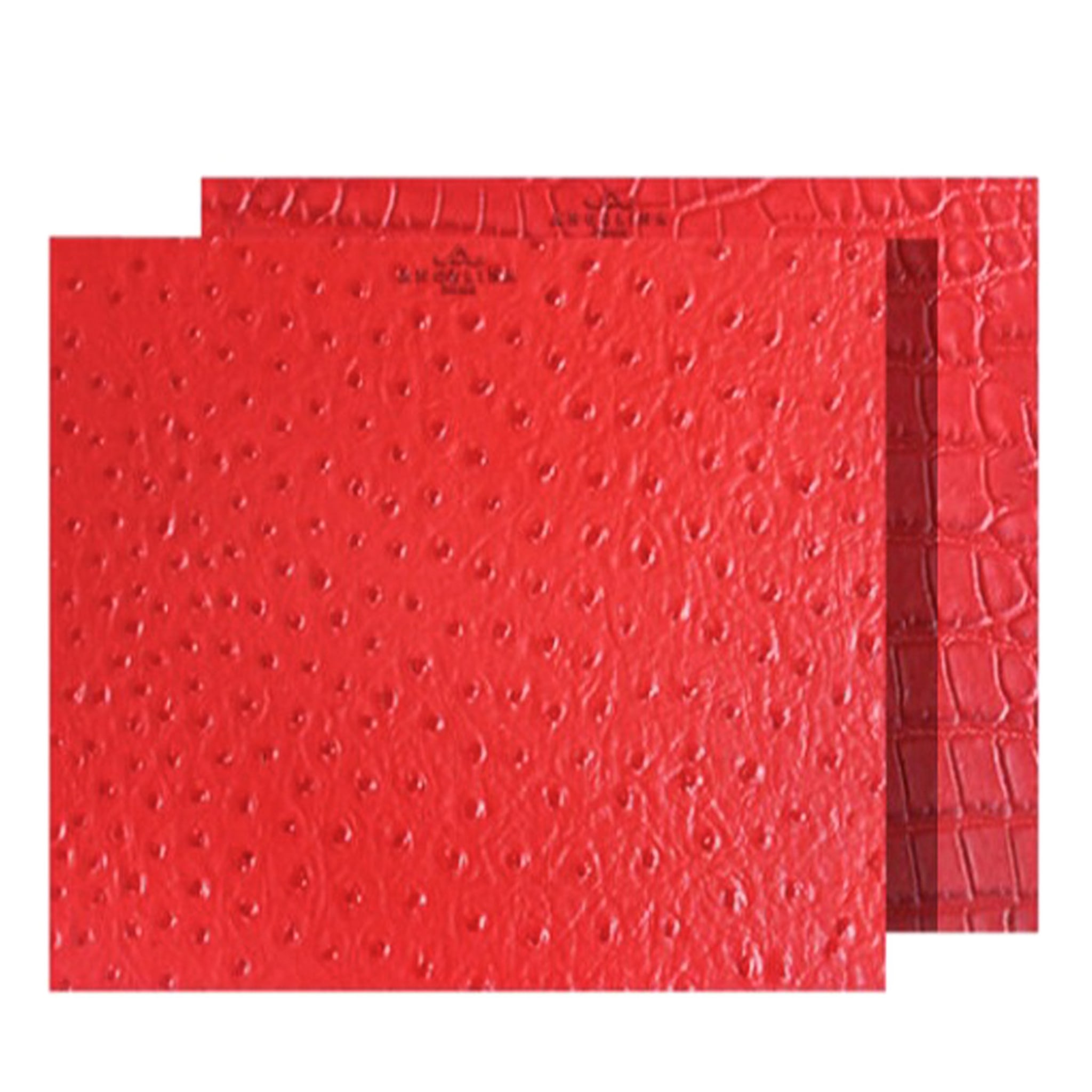 Kenya Extra-Small Set of 2 Rectangular Red Leather Placemats - Main view