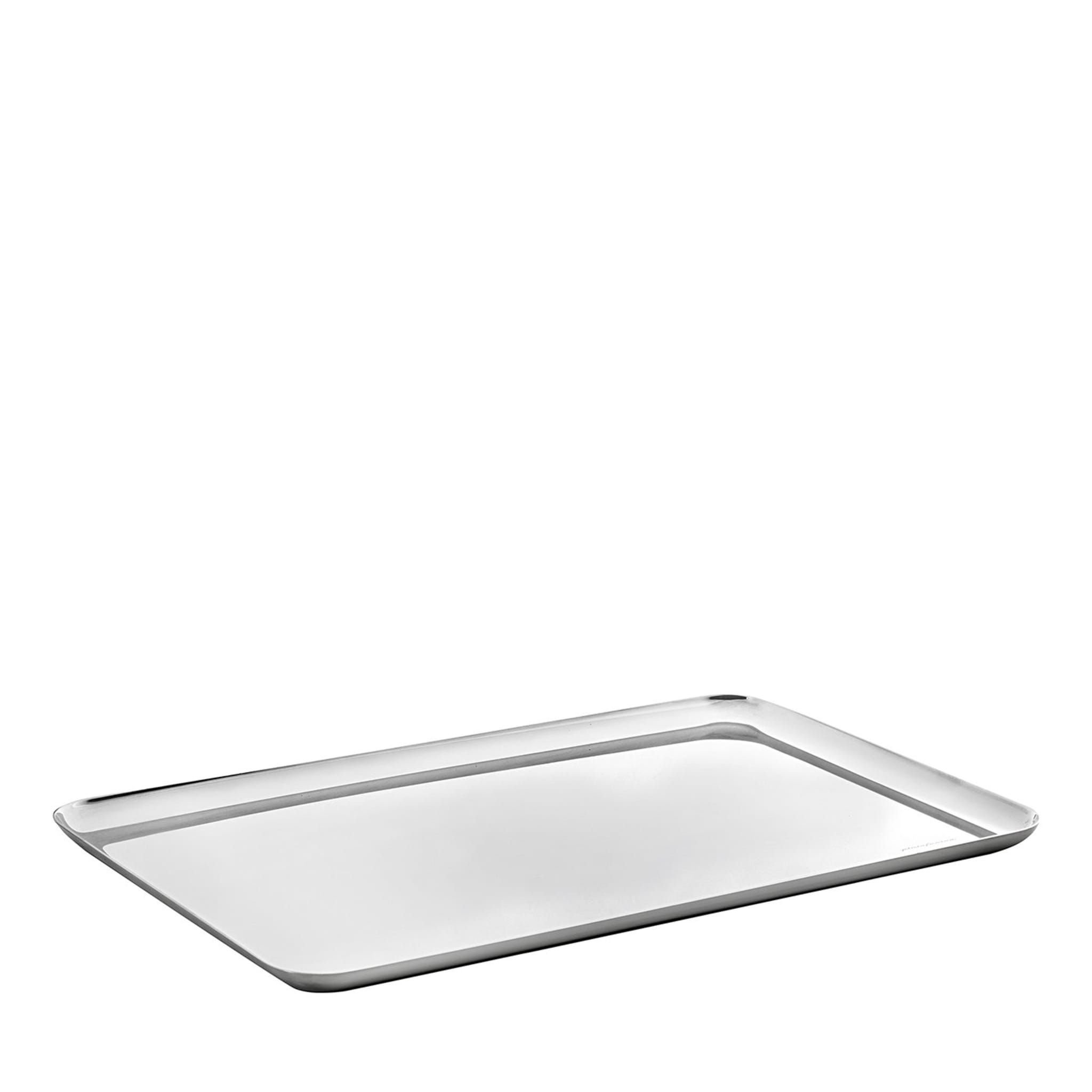 Stile Large Stainless Steel Tray - Main view
