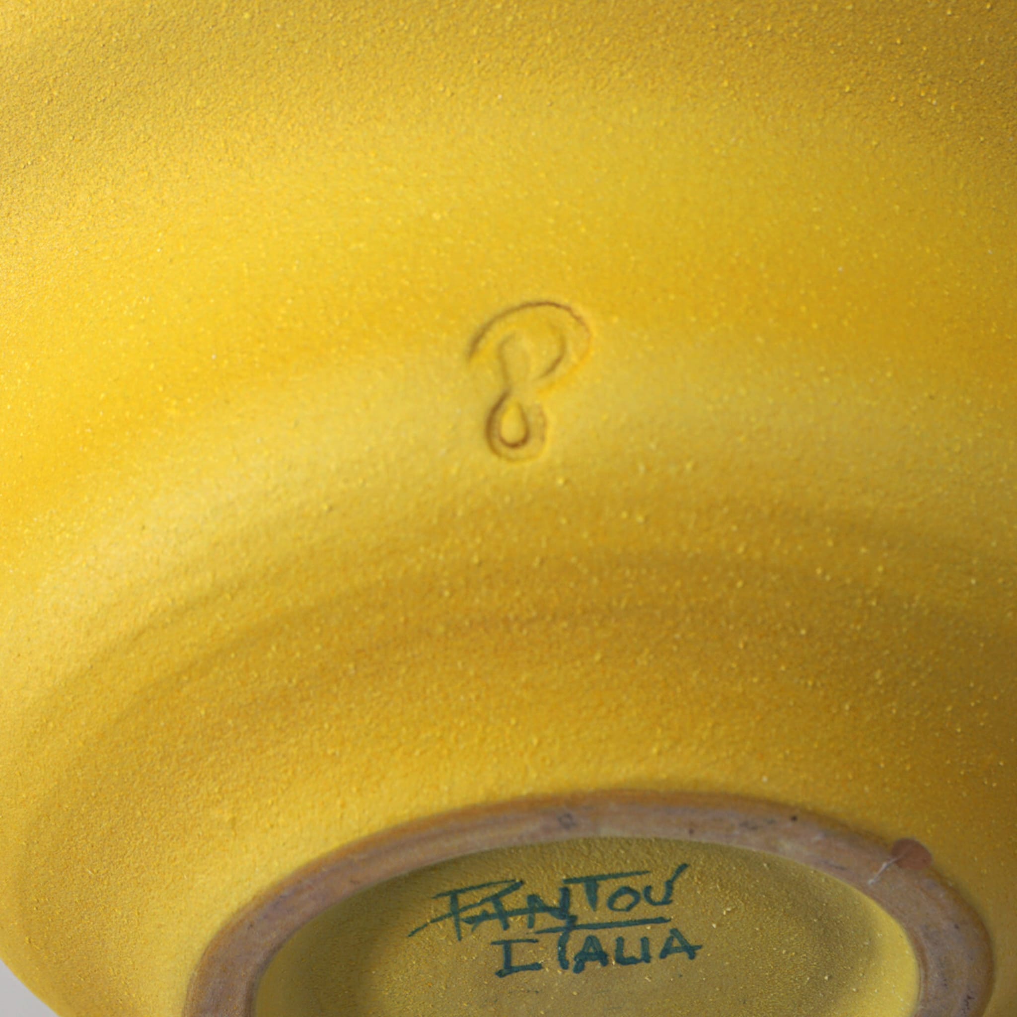 Crisalide Yellow Vase #5 - Alternative view 2