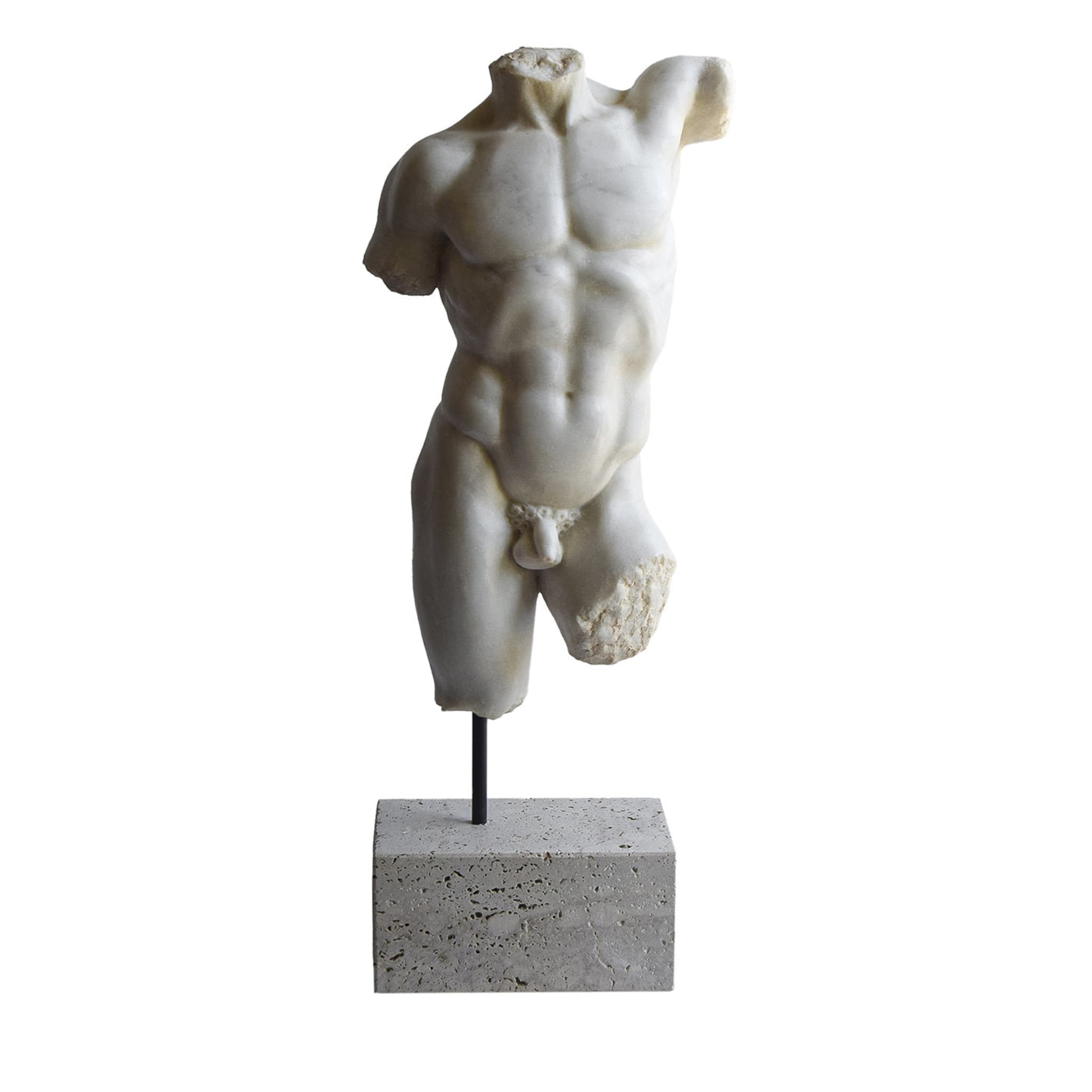 Busto maschile in marmo - Vista principale