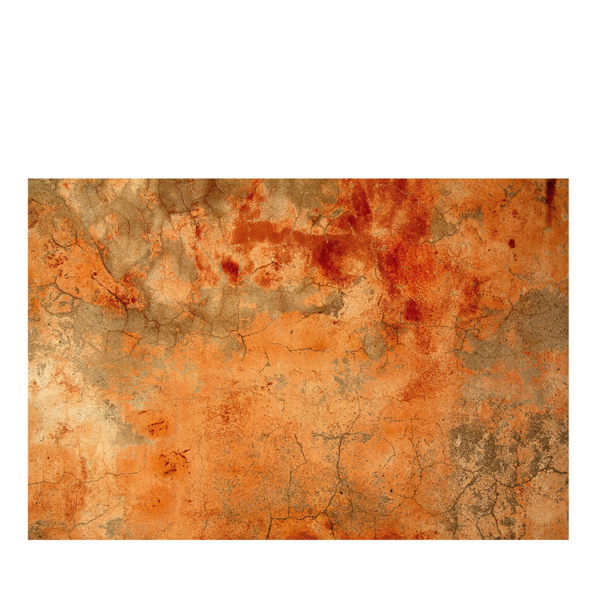 Papel pintado texturizado naranja nº 2 - Vista principal