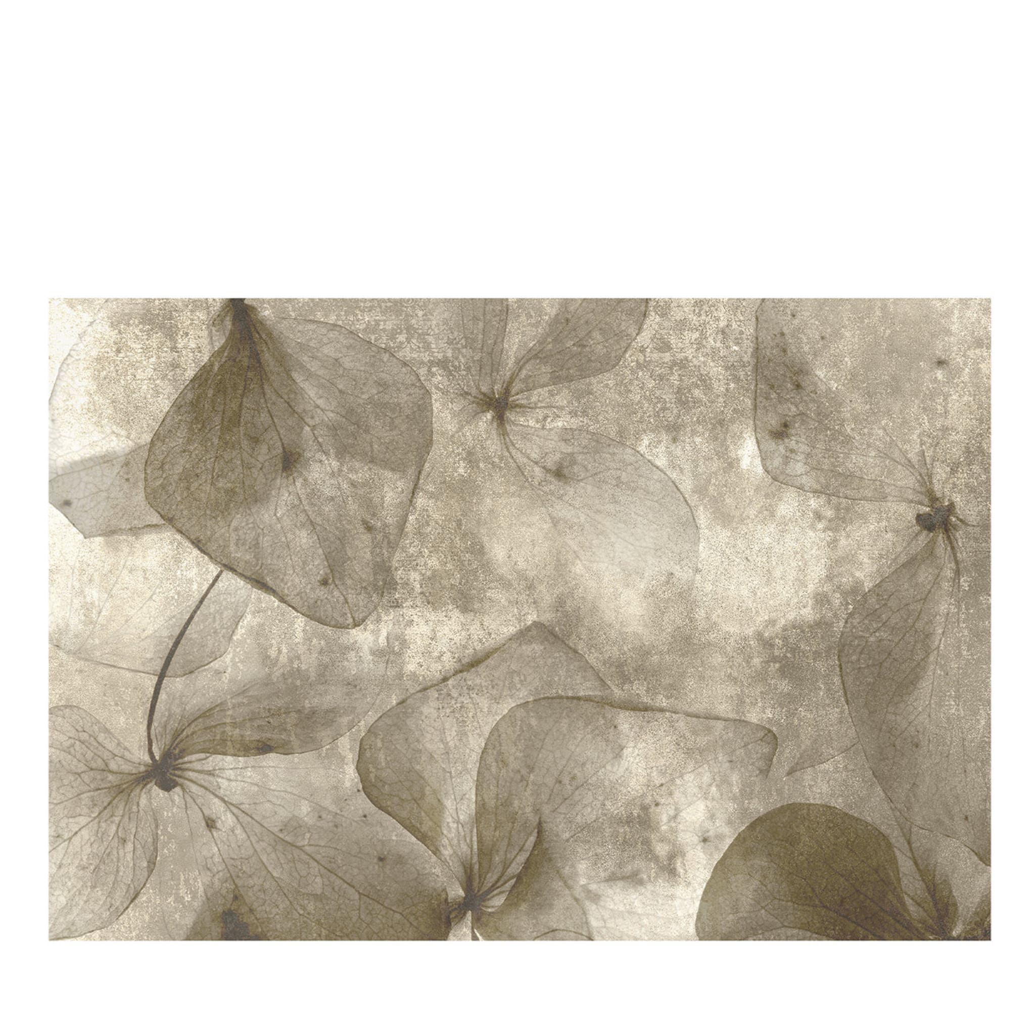 Beige Petals Textured Wallpaper - Main view