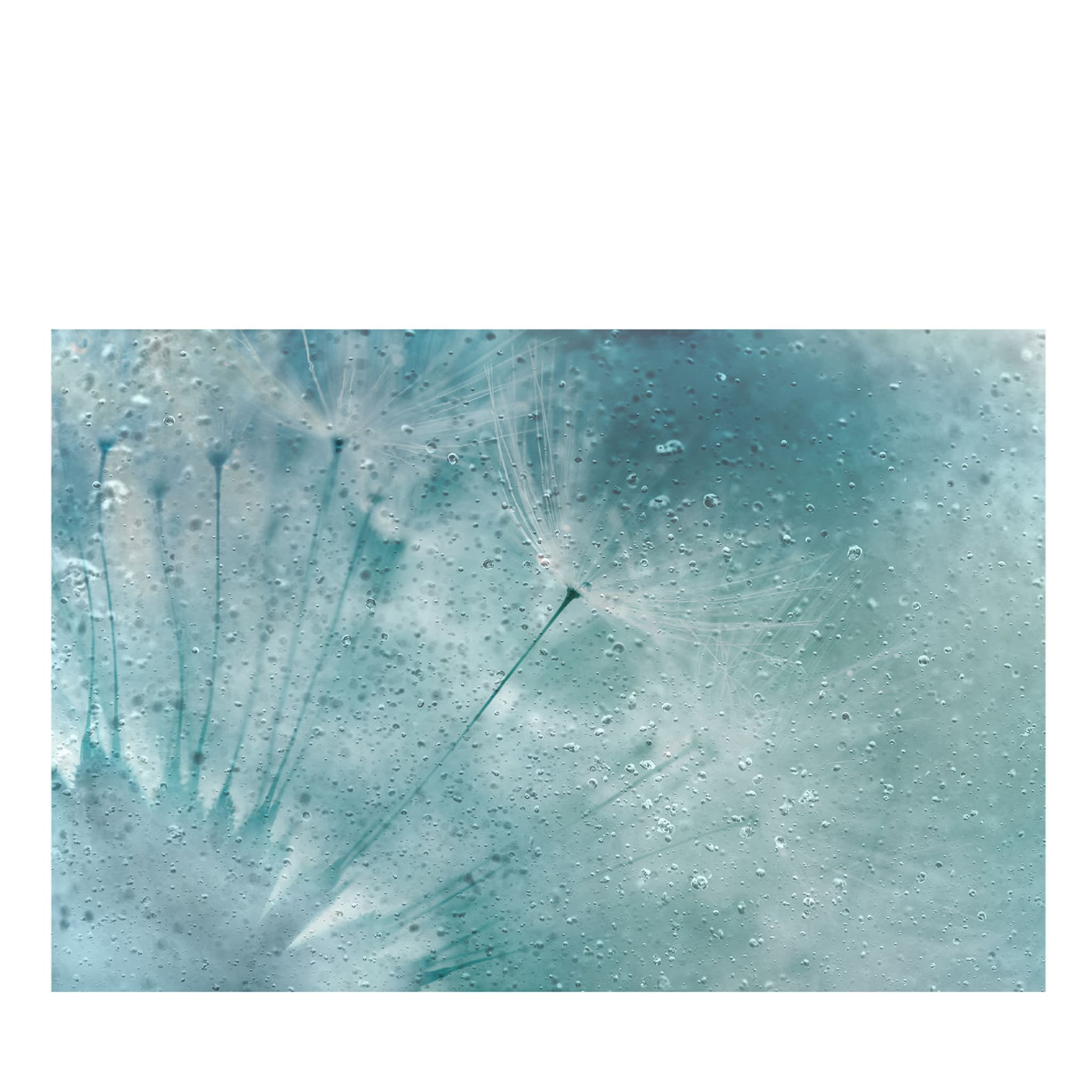 Papier peint texturé Turquoise Pollen - Vue principale