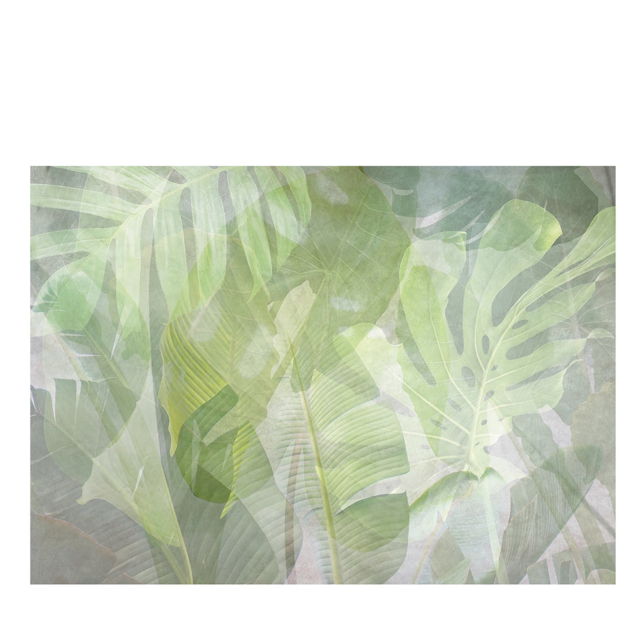 Light Green Palm Leaves Textured Wallpaper - Main view