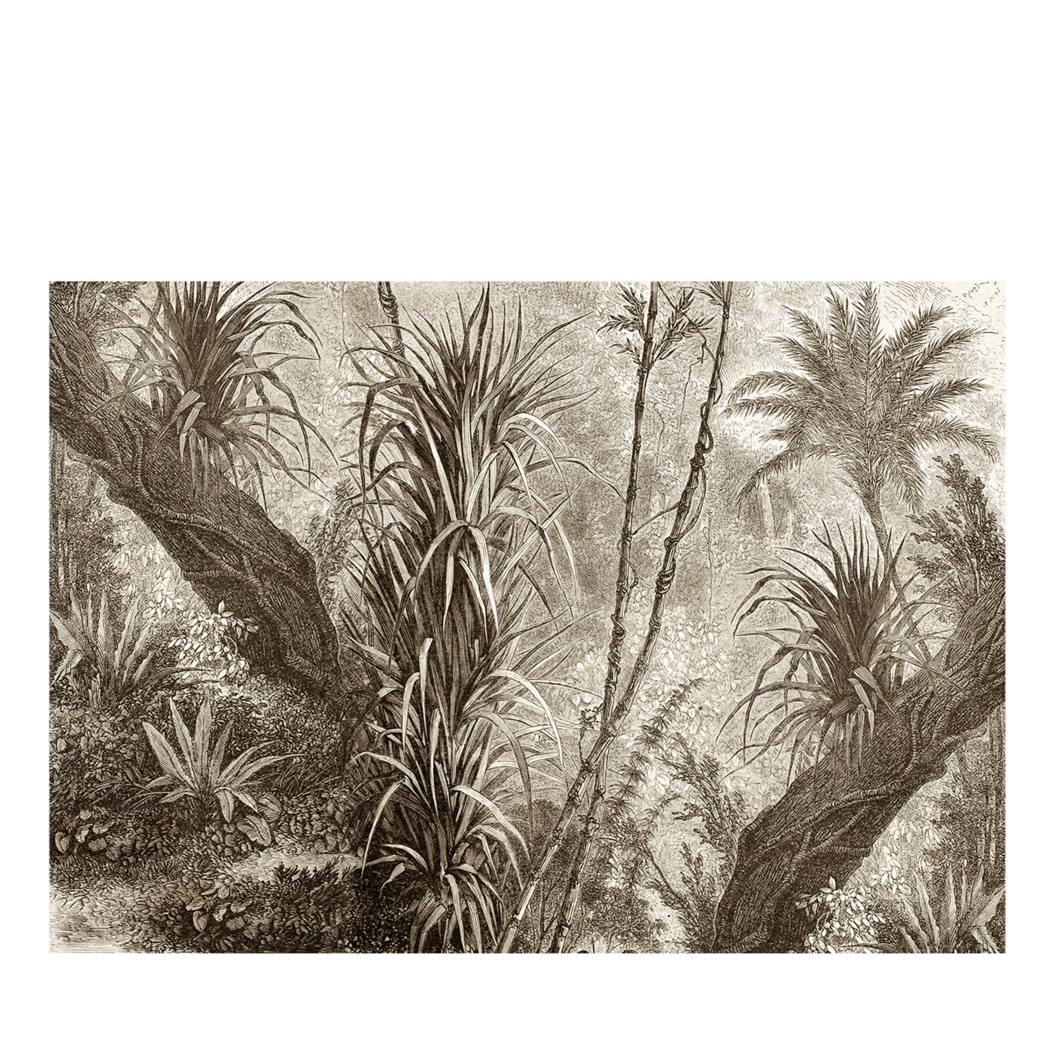 Papier peint texturé Sepia Jungle - Vue principale