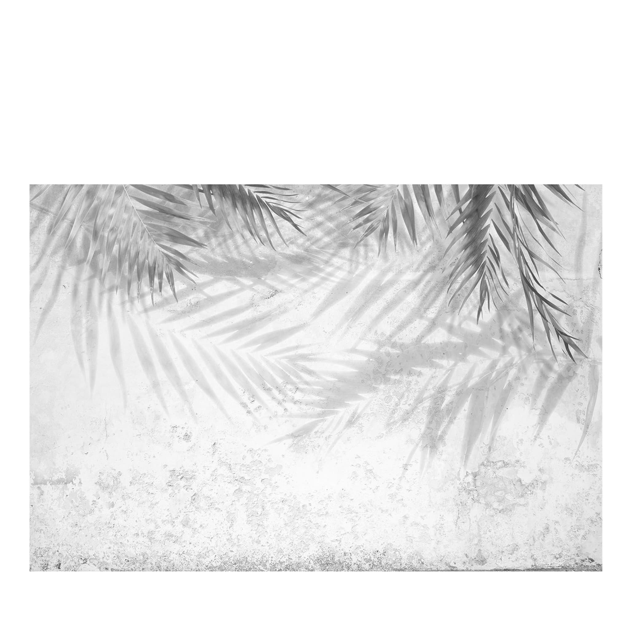 Black and White Palm Textured Wallpaper - Main view