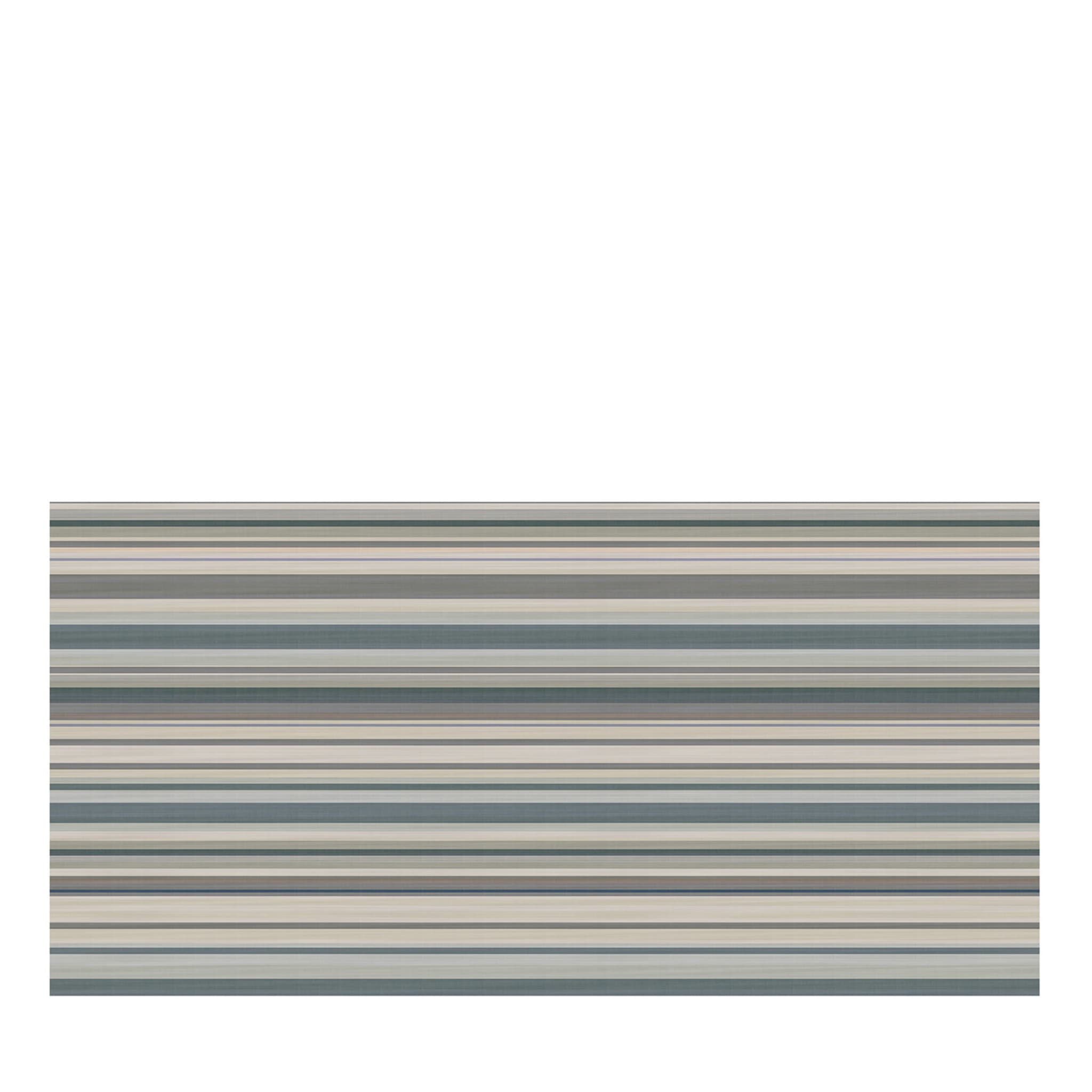 CapSep18 Stripe 1 - Vue principale