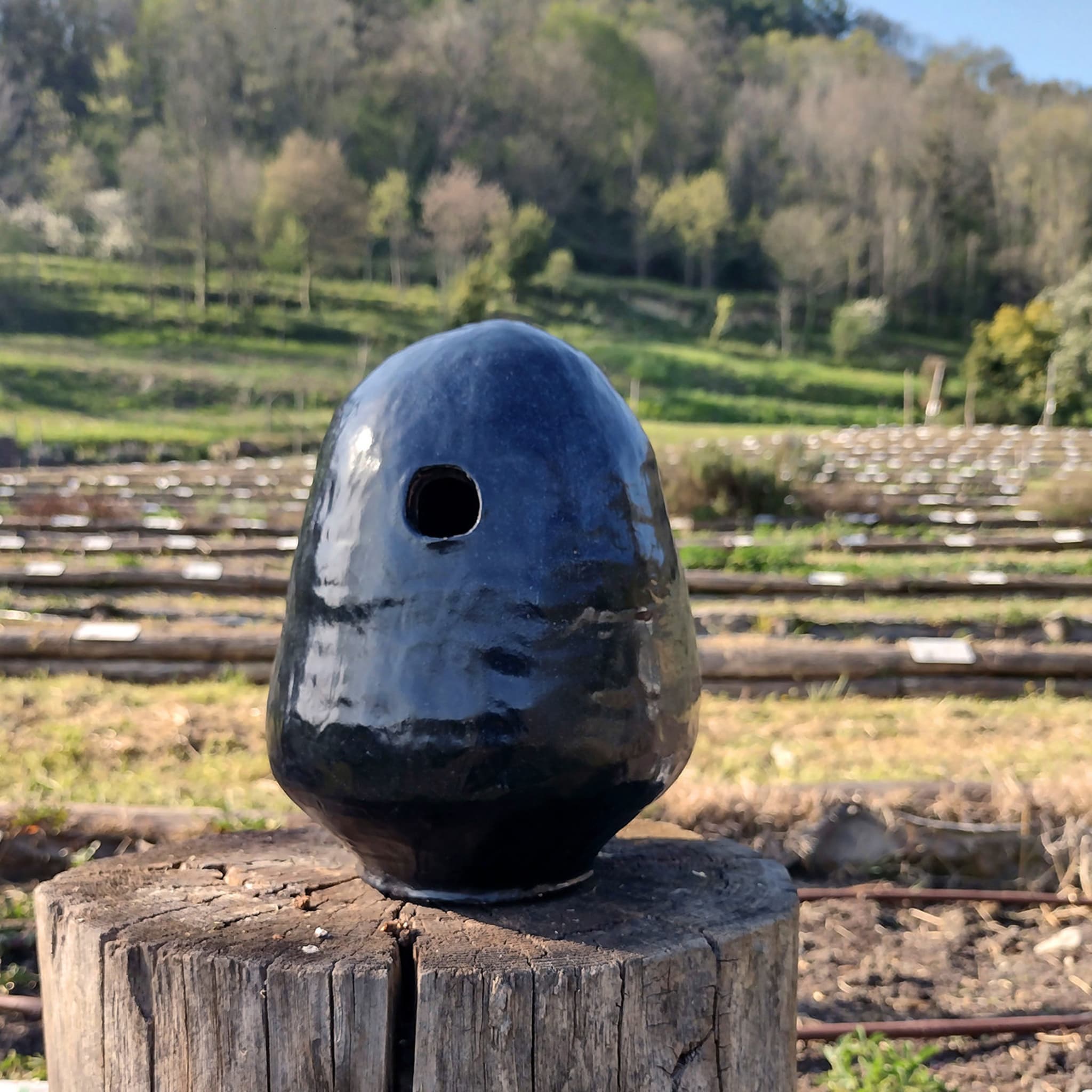 Schwarz-blaue Vase - Alternative Ansicht 1