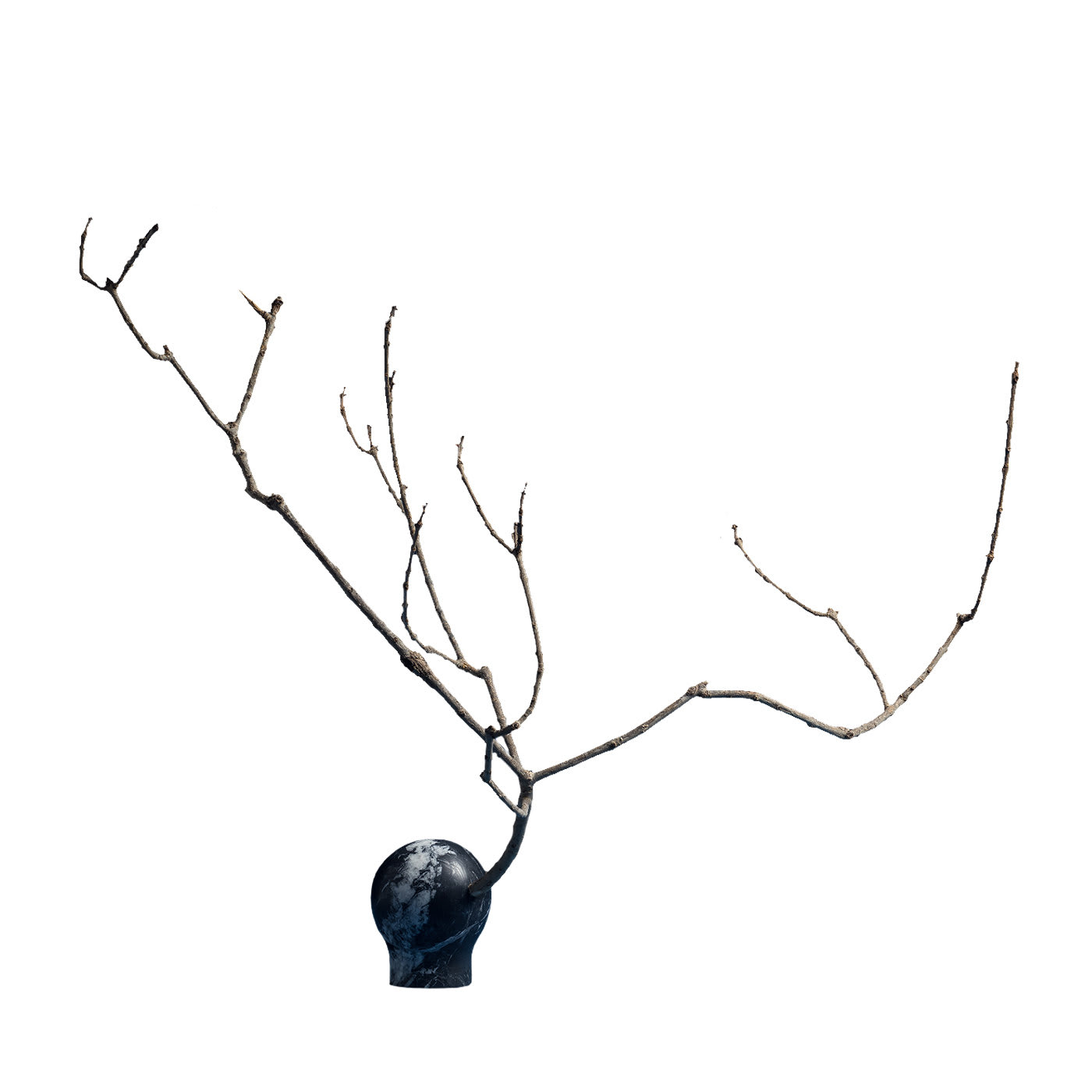 Natura Morta Sphere in Black Marble - Sara Ricciardi