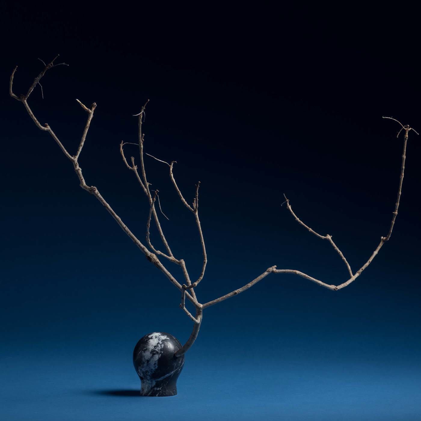 Natura Morta Sphere in Black Marble - Sara Ricciardi