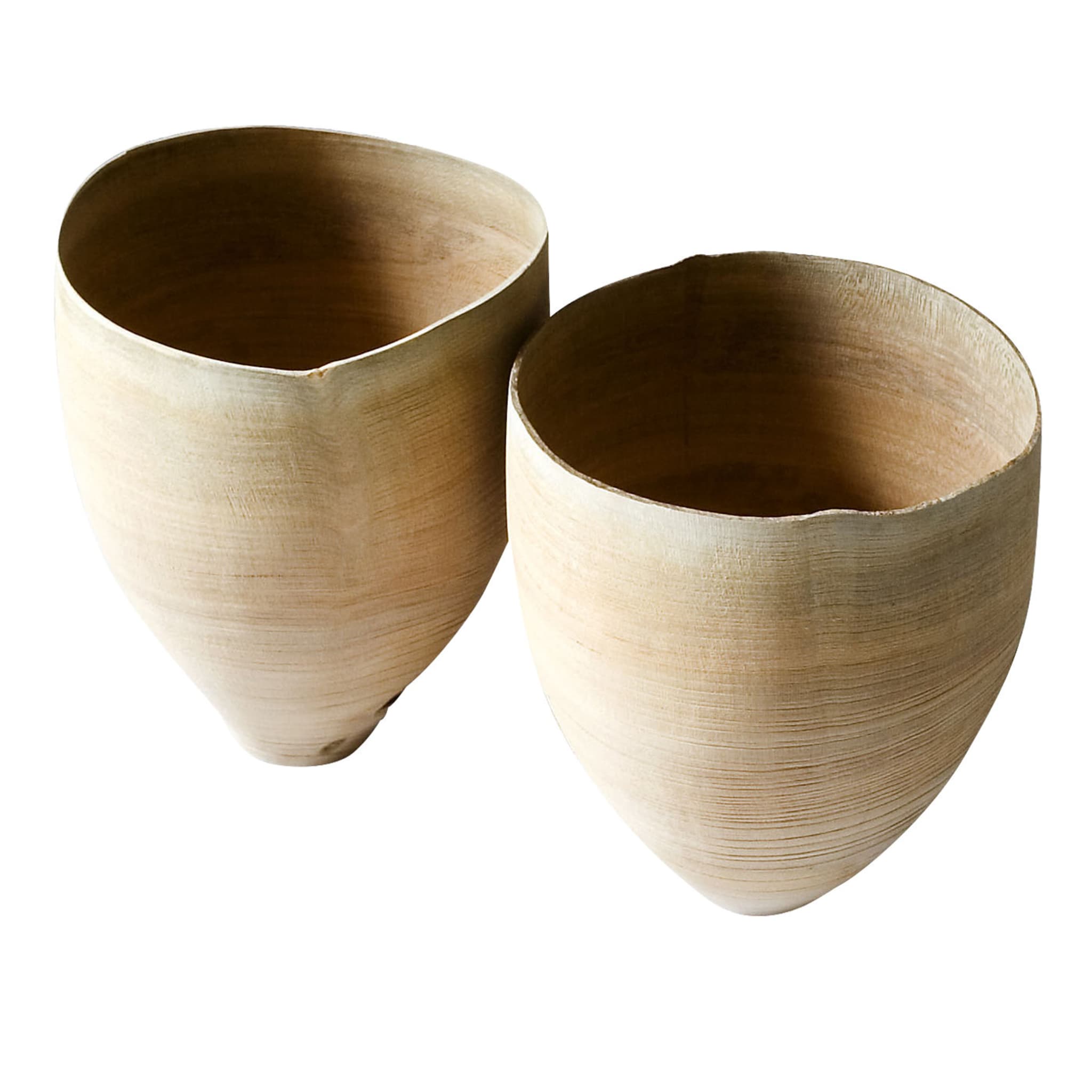 Set di due vasi Prunus #15 - Vista principale