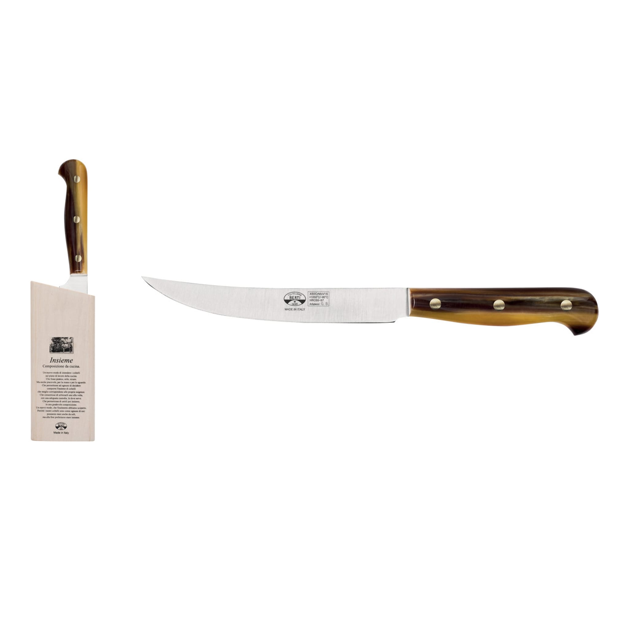 Insieme Set of Block and Bone Knife with Conrnotech Handle - Main view