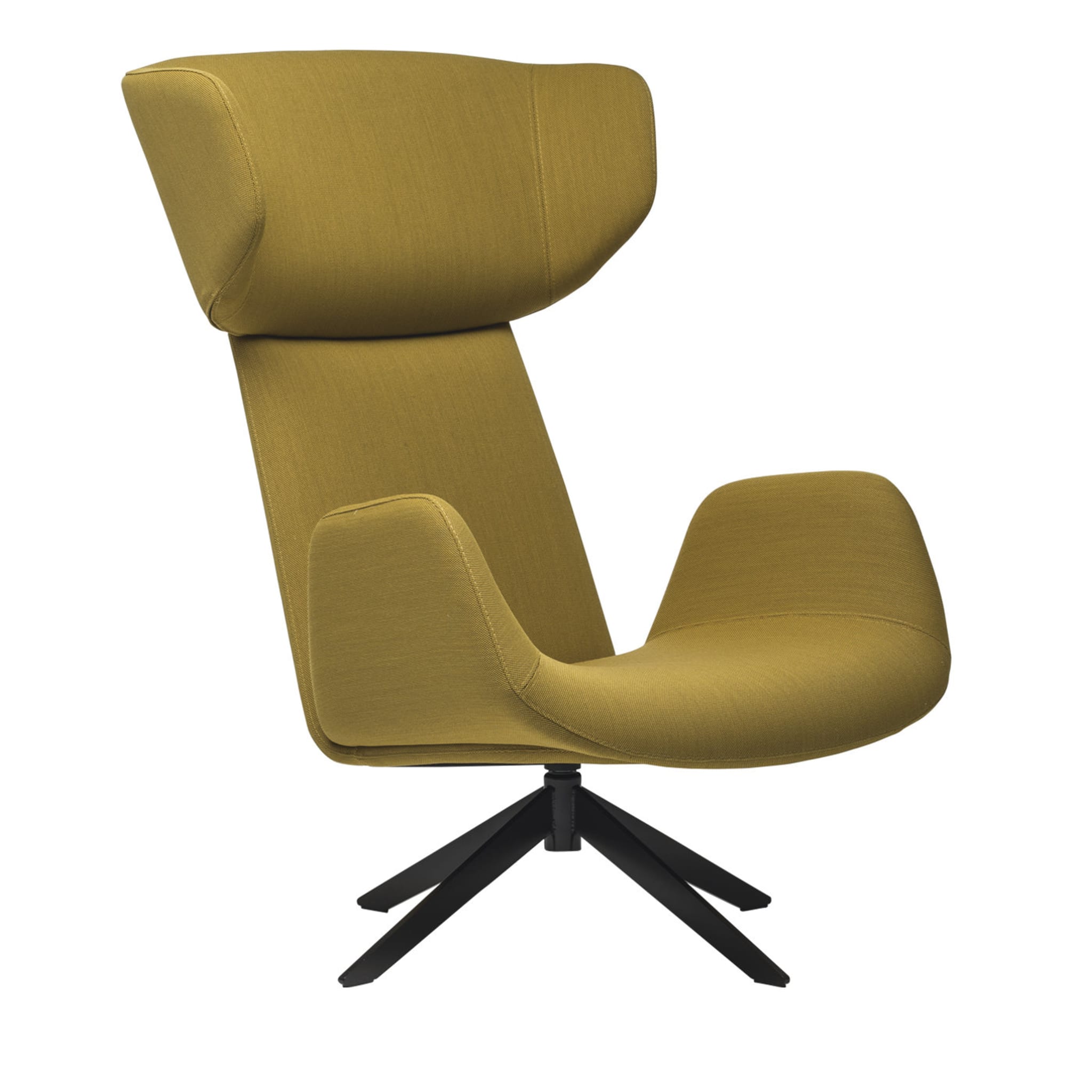Myplace Armchair with Enveloping Headrest by Michael Geldmacher - Main view