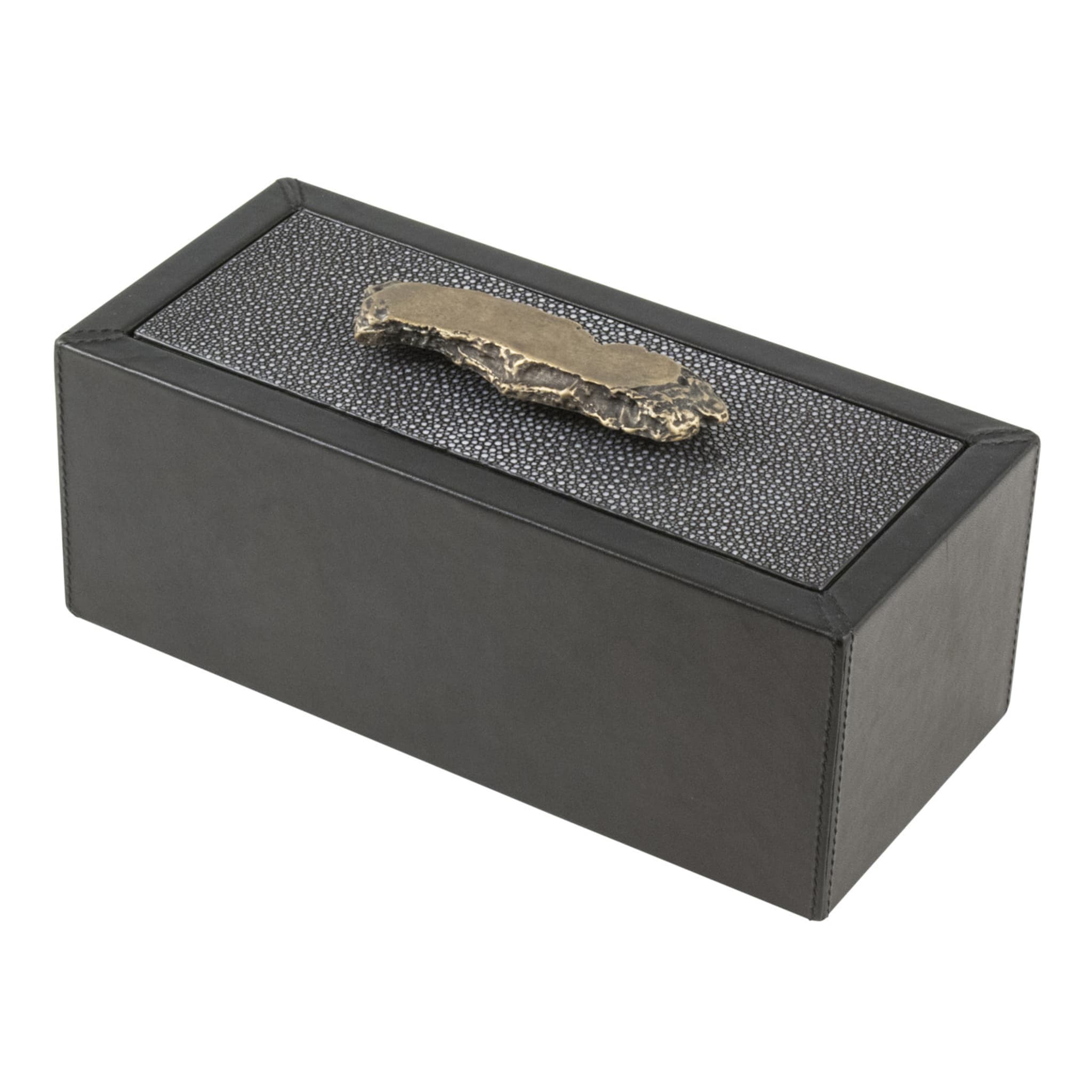 Ambra Medium Rectangular and Long Trinket Box (boîte à bibelots rectangulaire et longue) - Vue principale