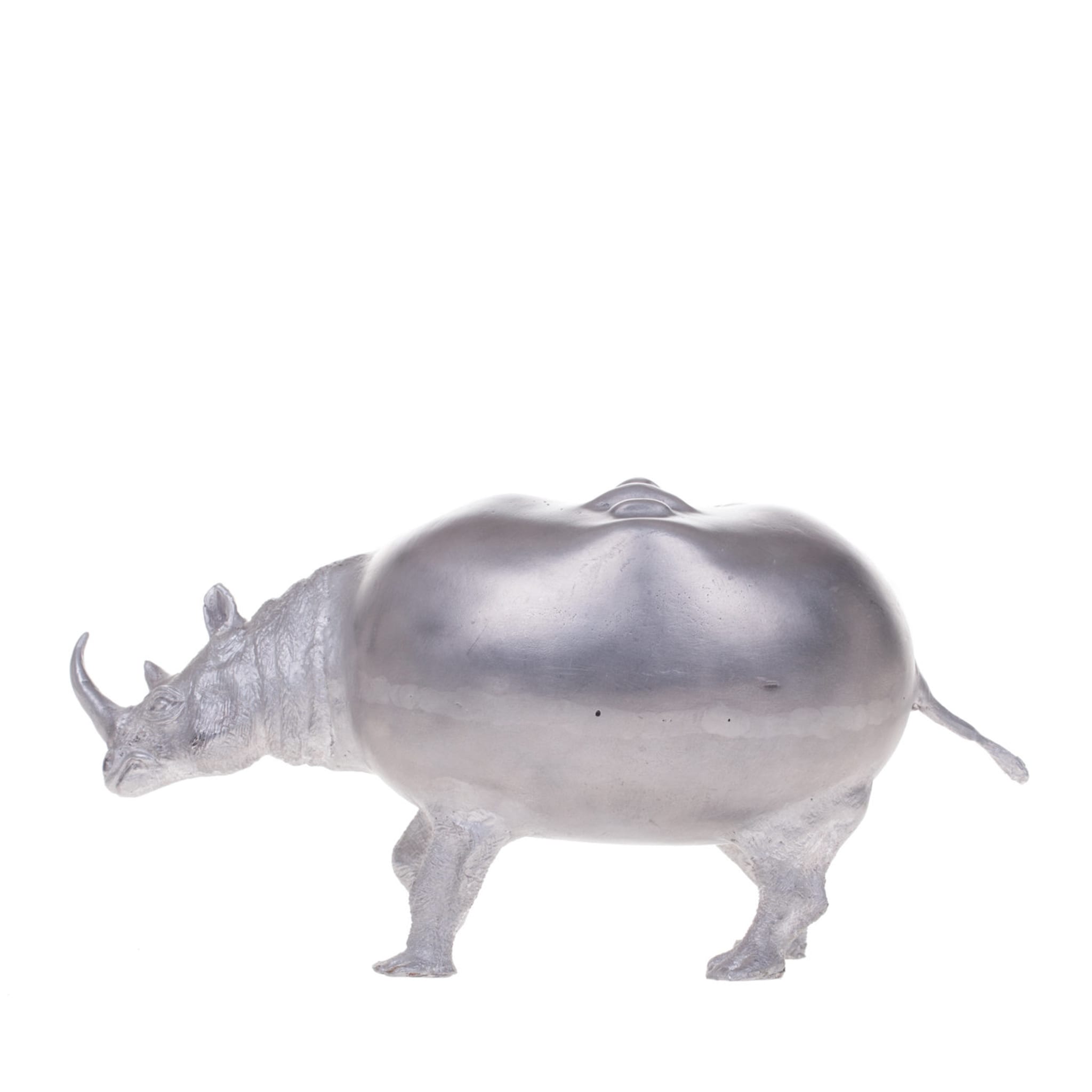 Faccia da pillola di rinoceronte - Vista principale