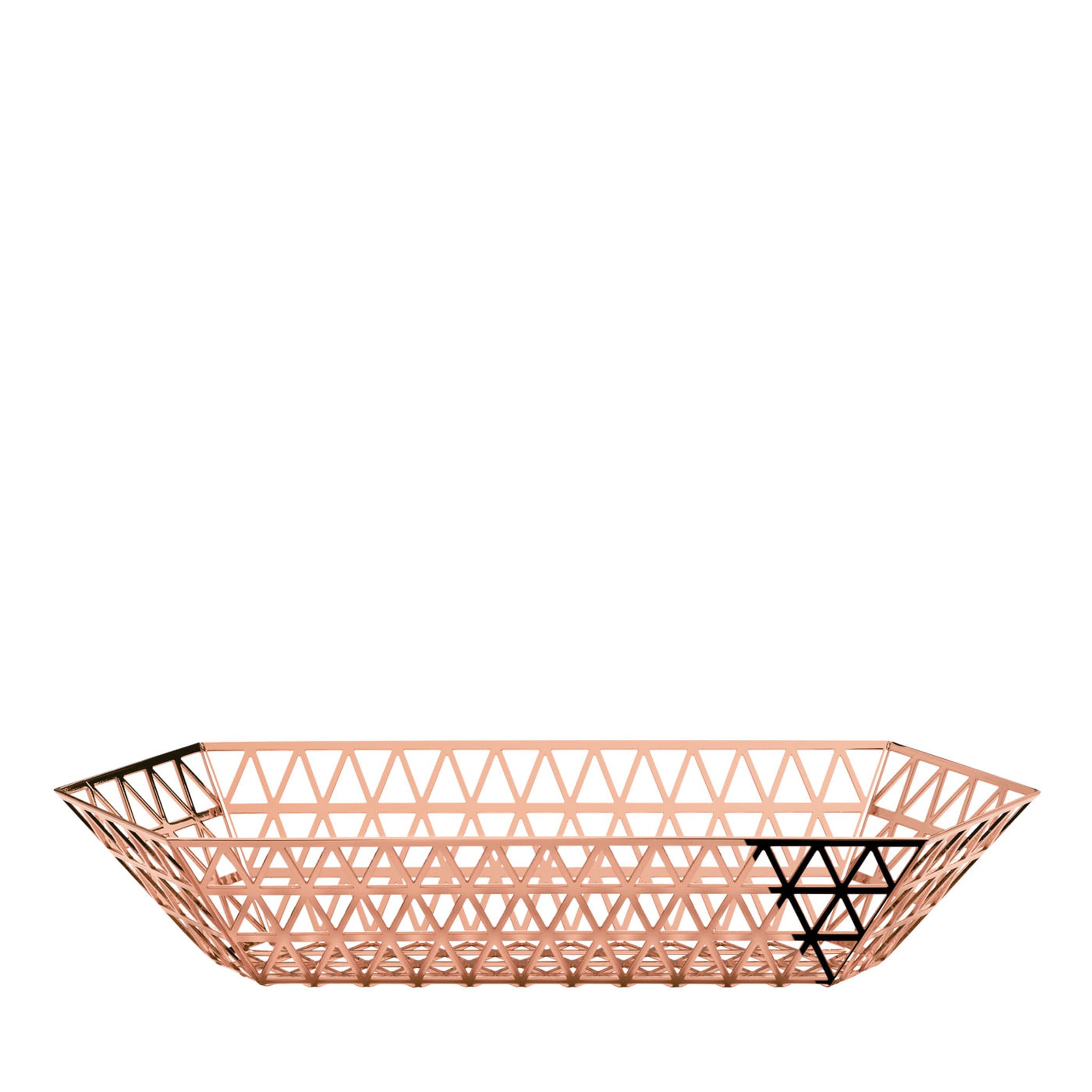 Limousine Tray in Copper Finish By Richard Hutten - Main view